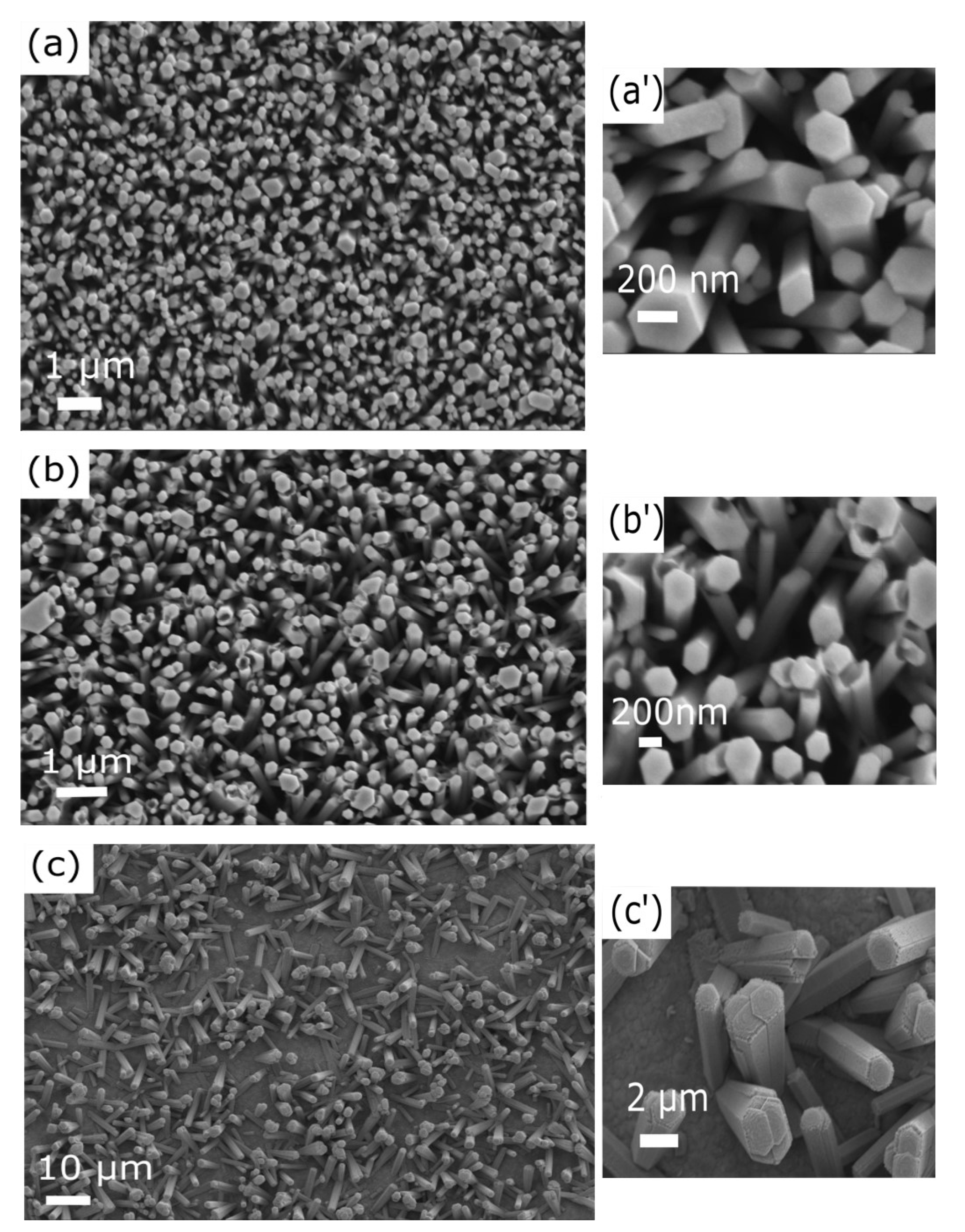 Nanomaterials 11 01430 g004