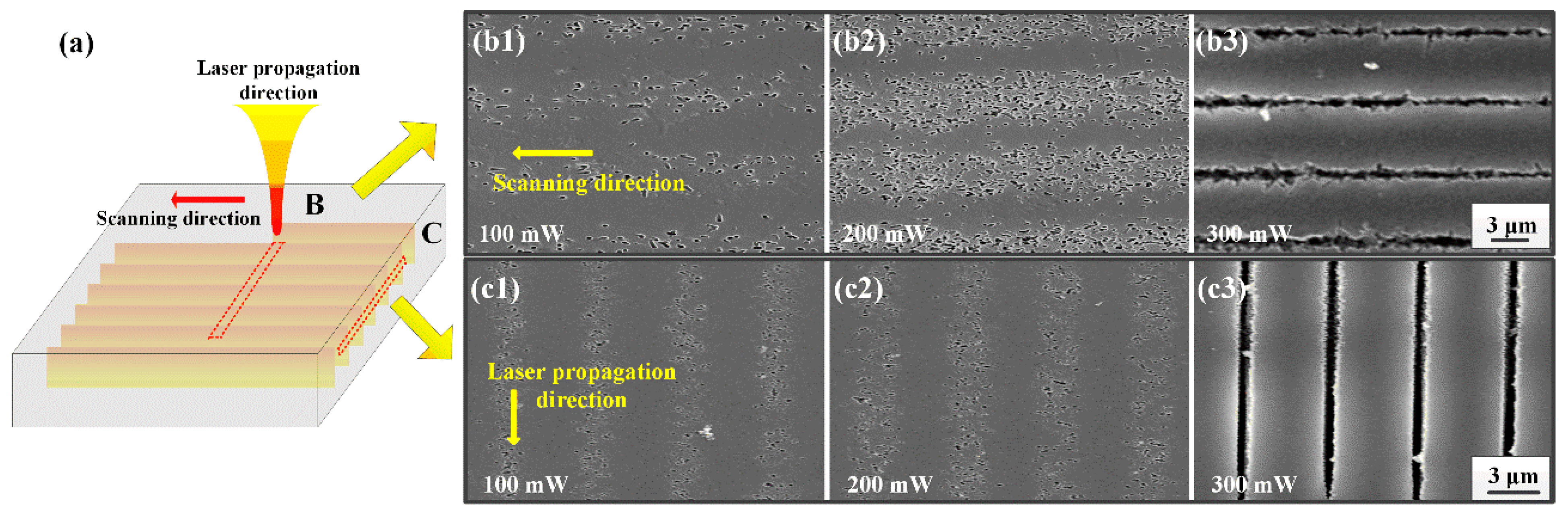 Nanomaterials 11 01432 g005