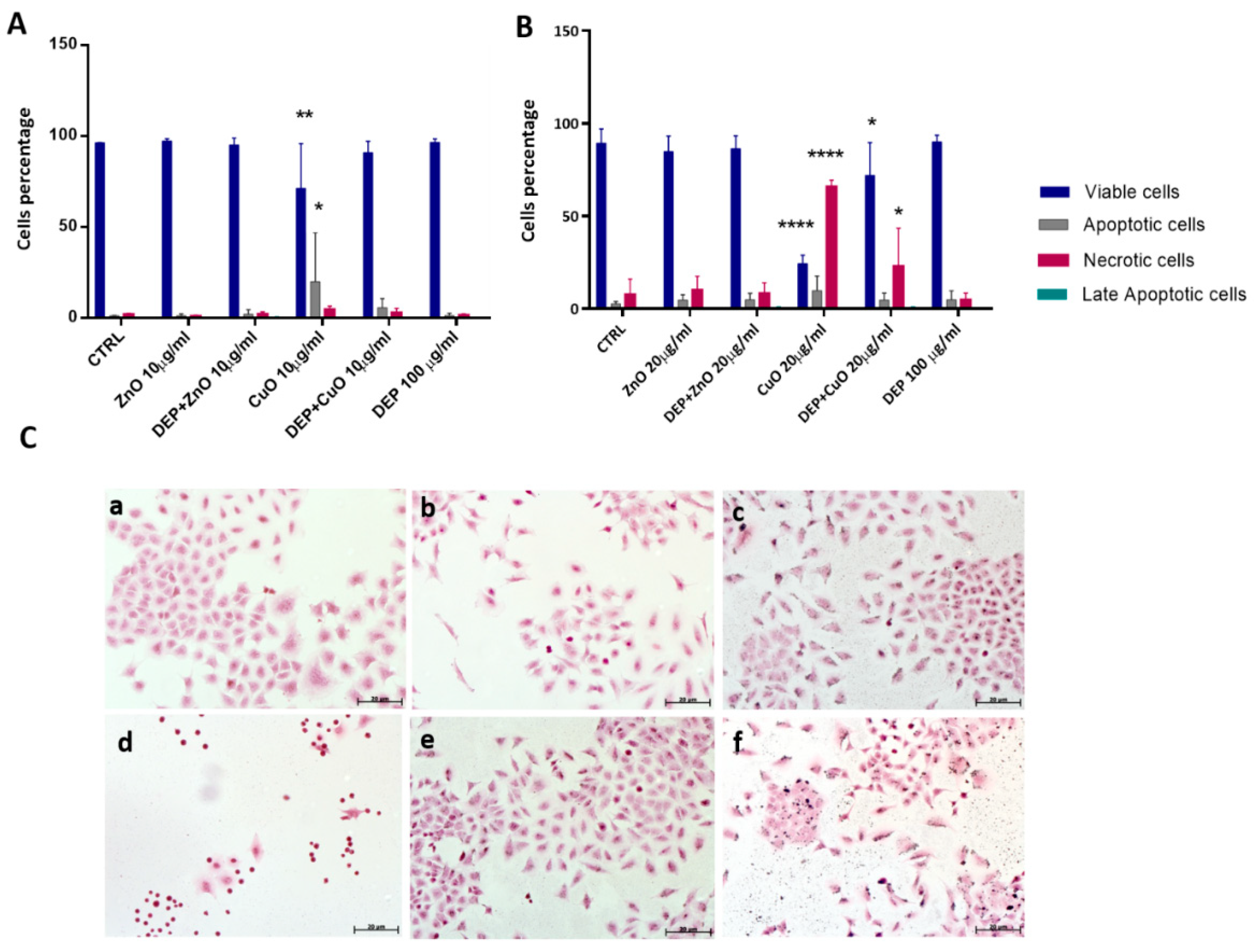 Nanomaterials 11 01437 g001