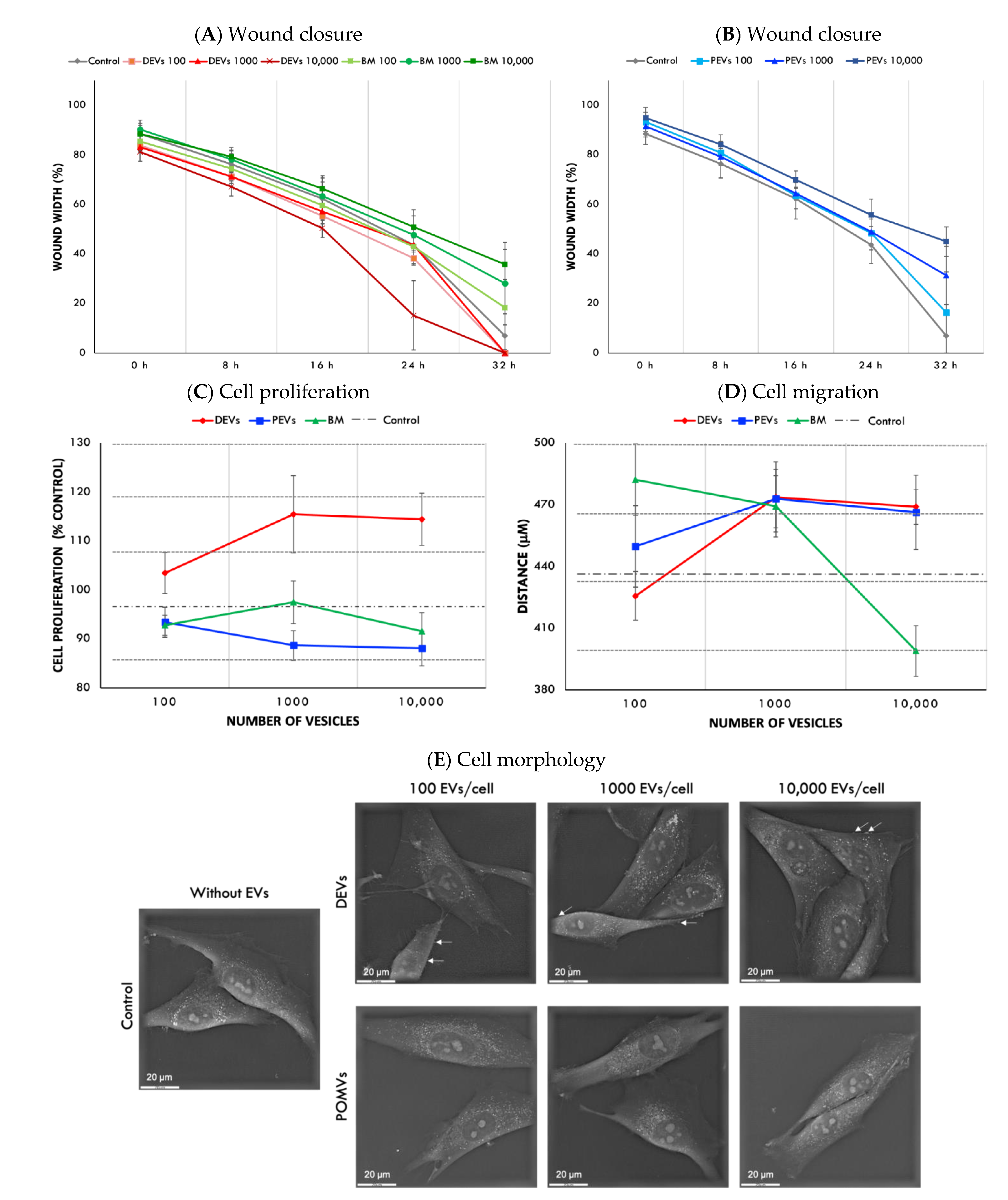 Nanomaterials 11 01445 g003
