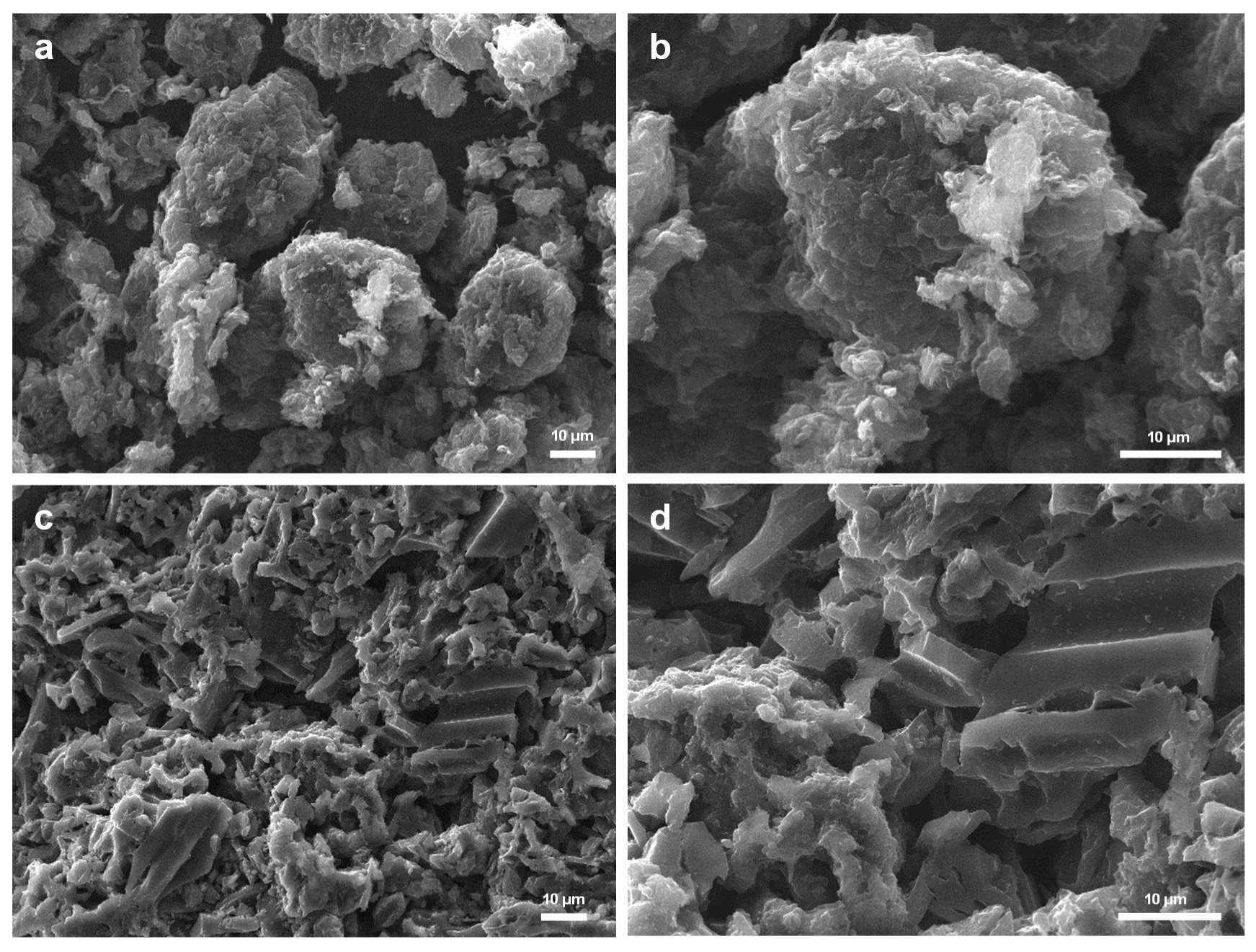 Nanomaterials 11 01456 g004