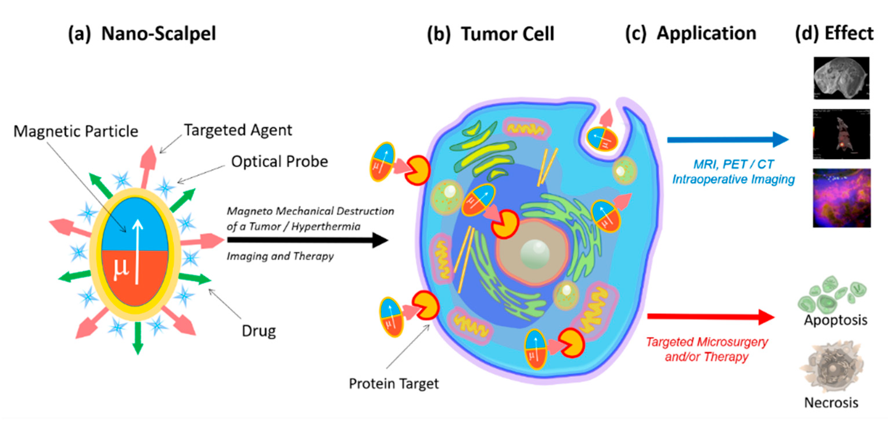 Nanomaterials 11 01459 g001