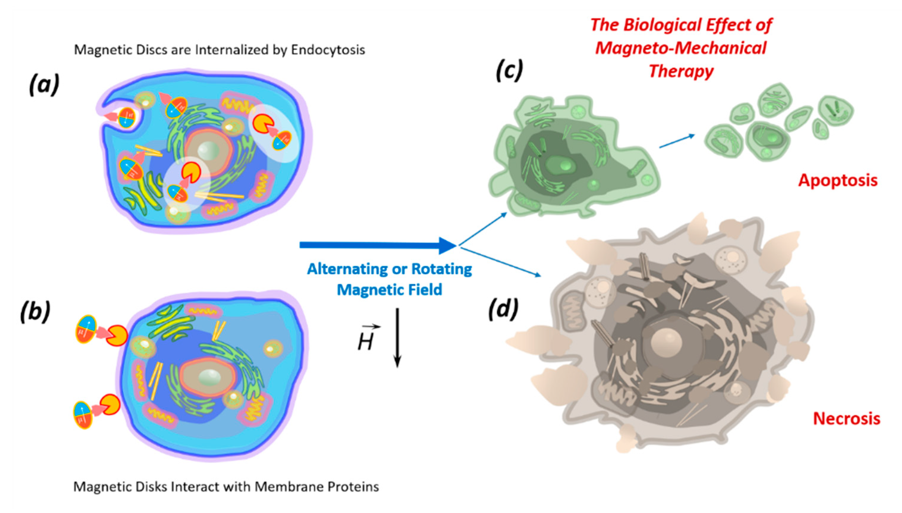 Nanomaterials 11 01459 g003