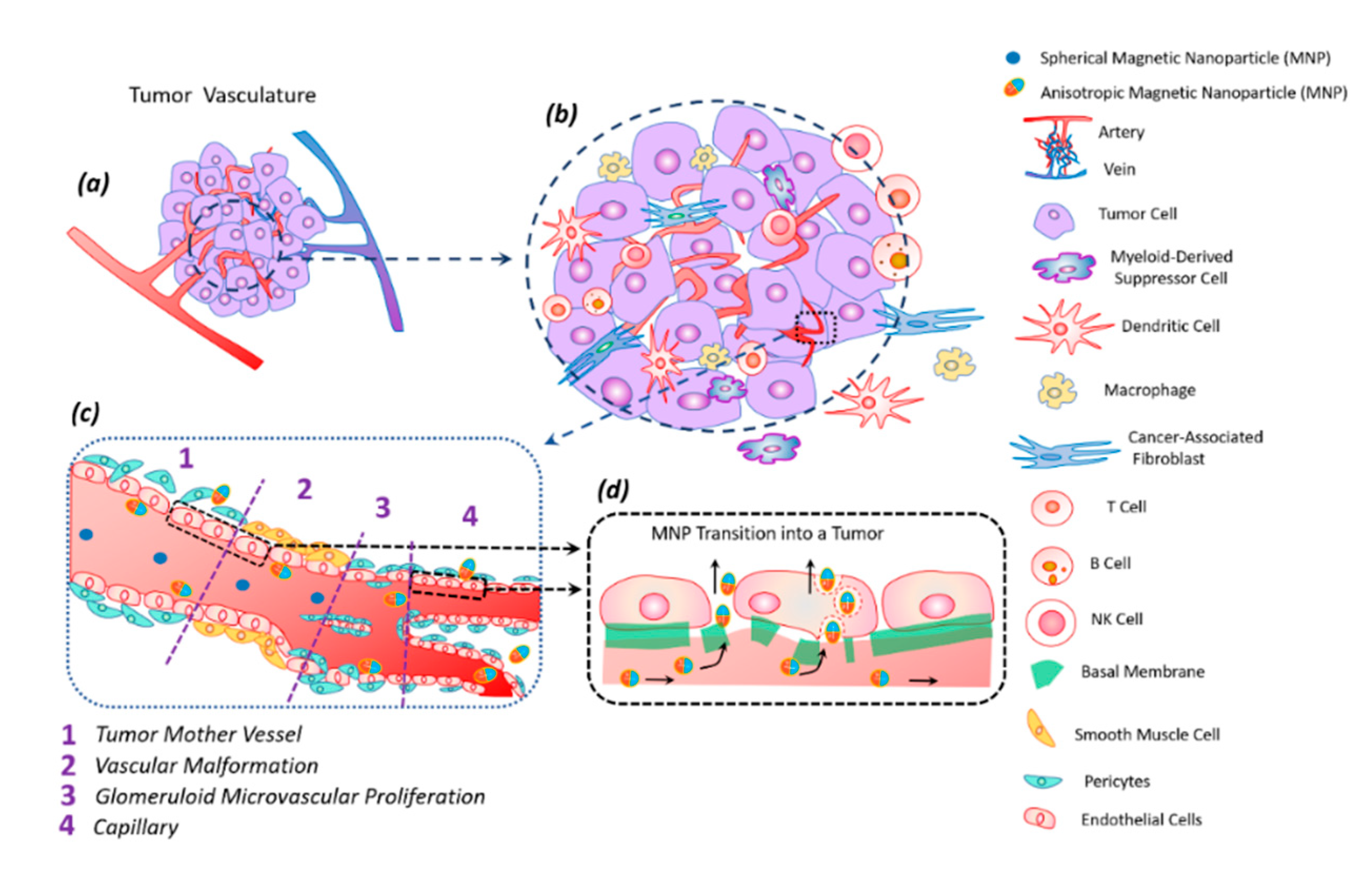 Nanomaterials 11 01459 g005