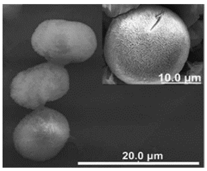 Nanomaterials 11 01460 i035