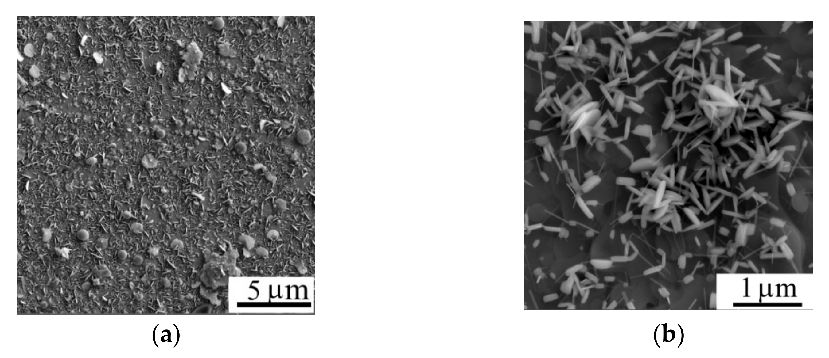 Nanomaterials 11 01461 g003