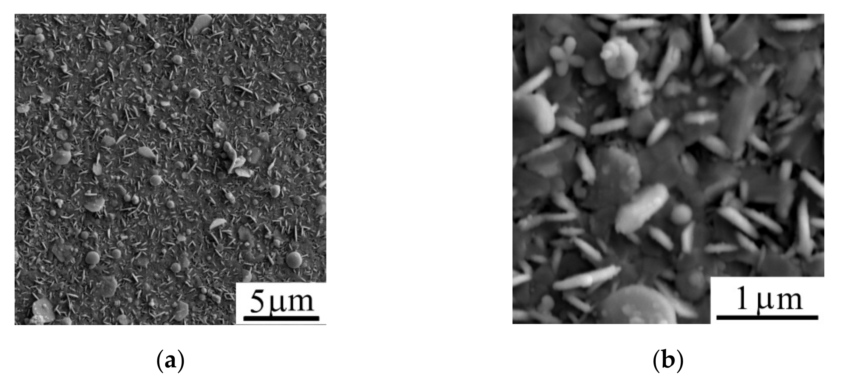 Nanomaterials 11 01461 g008