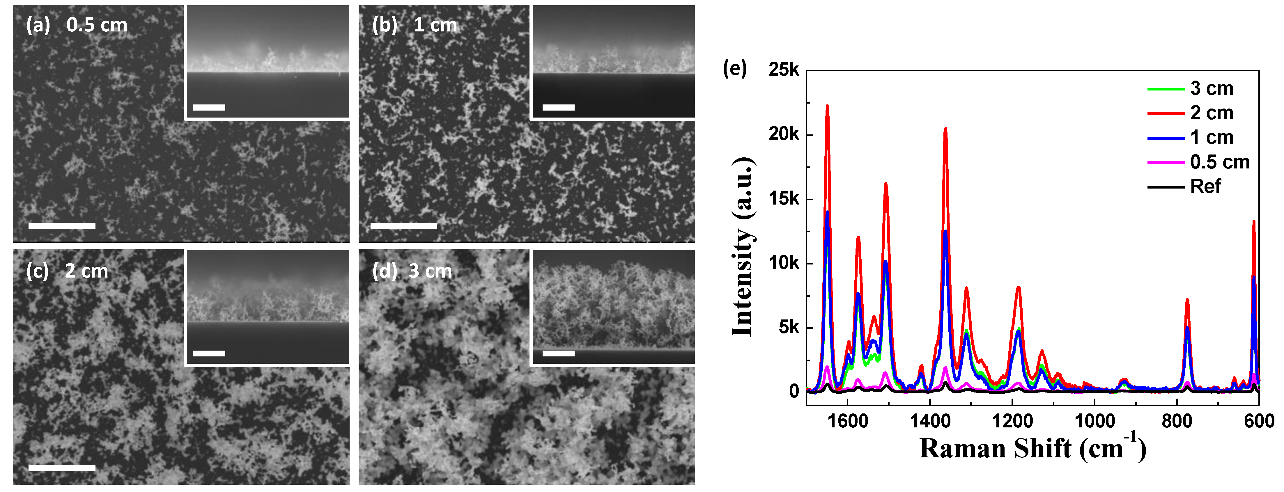 Nanomaterials 11 01463 g004