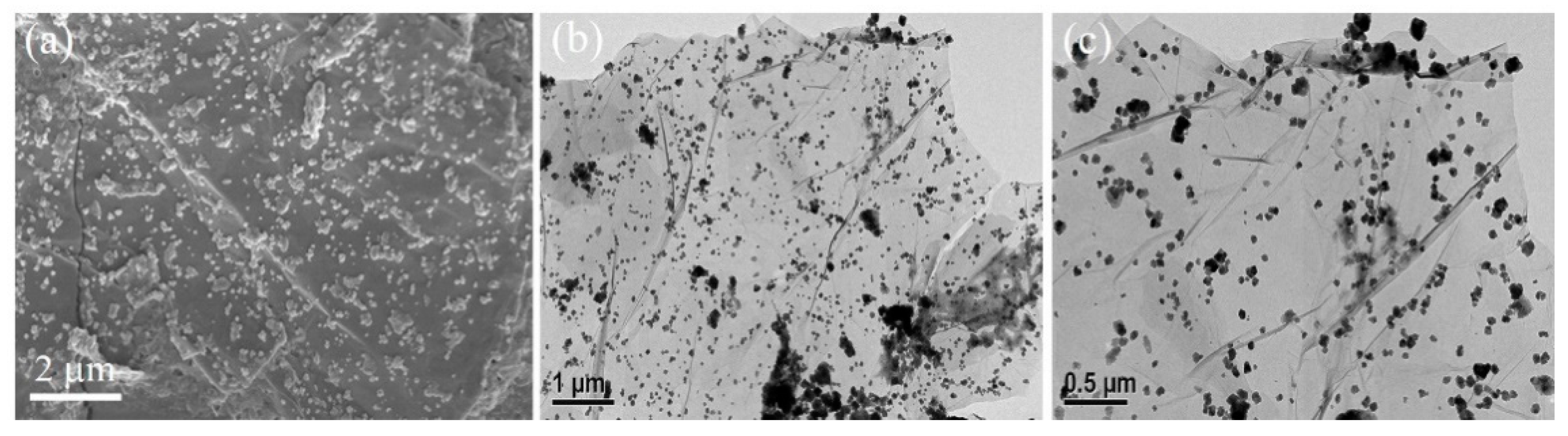 Nanomaterials 11 01475 g001