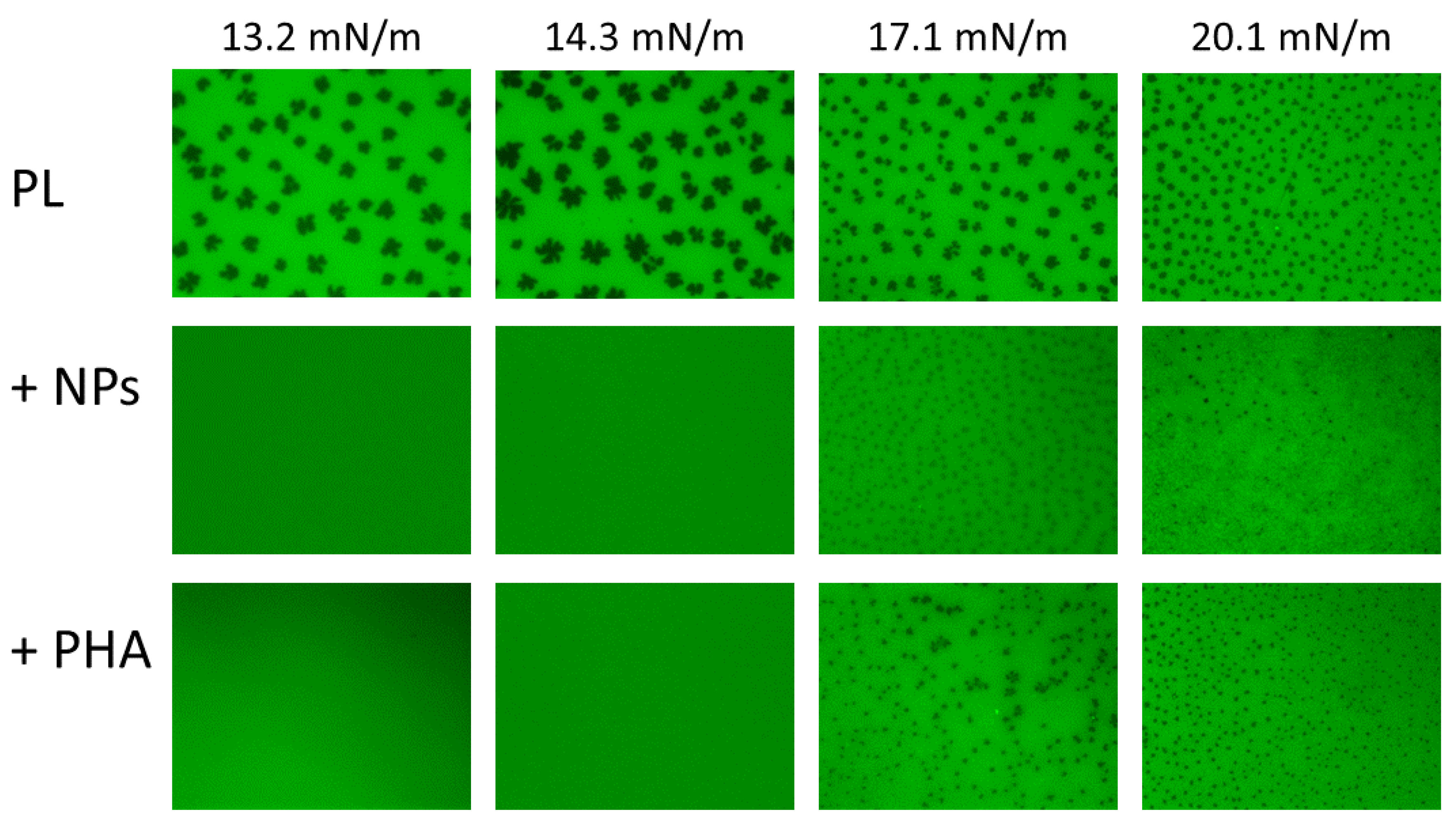 Nanomaterials 11 01482 g007