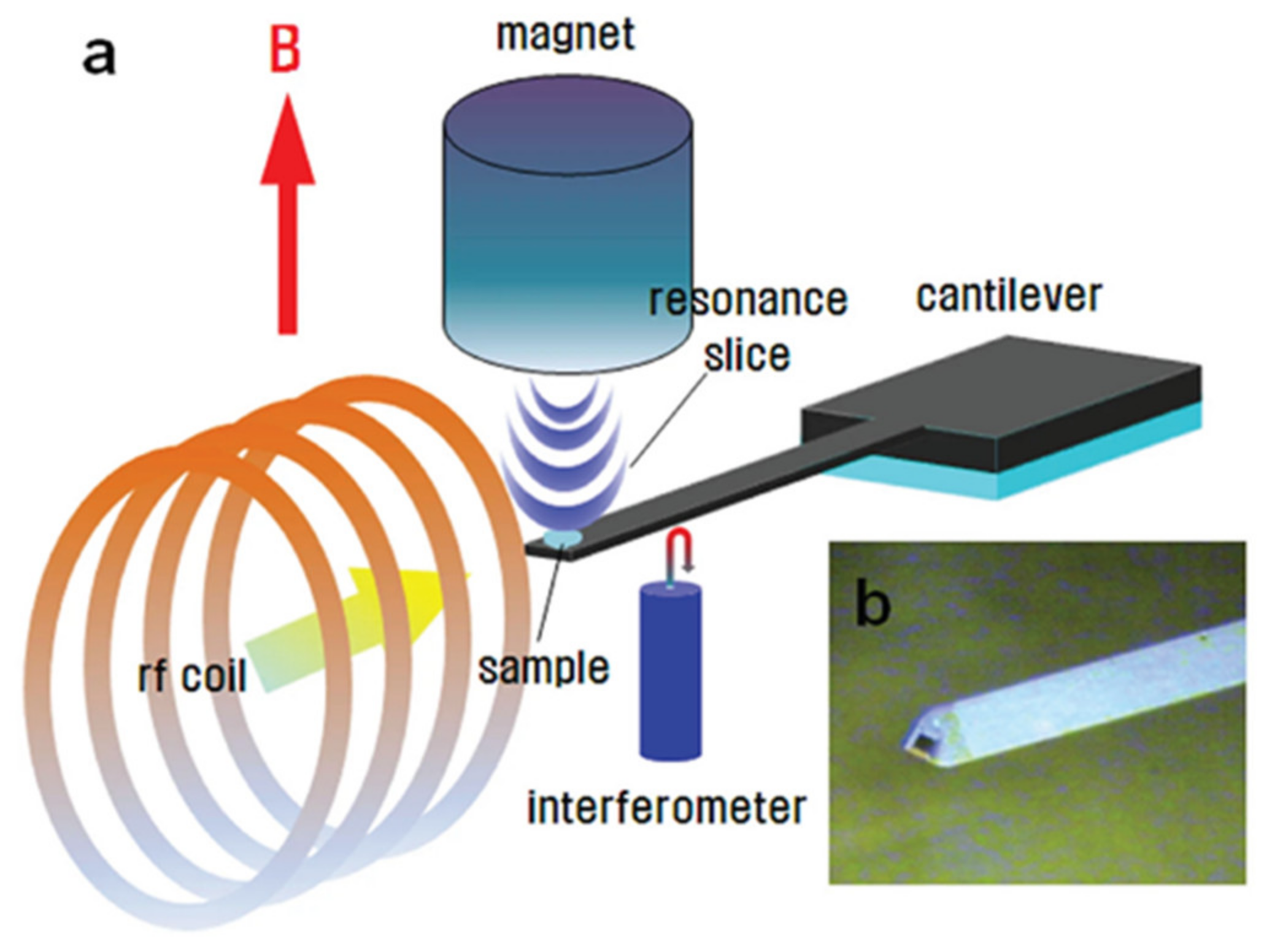 Nanomaterials 11 01494 g007
