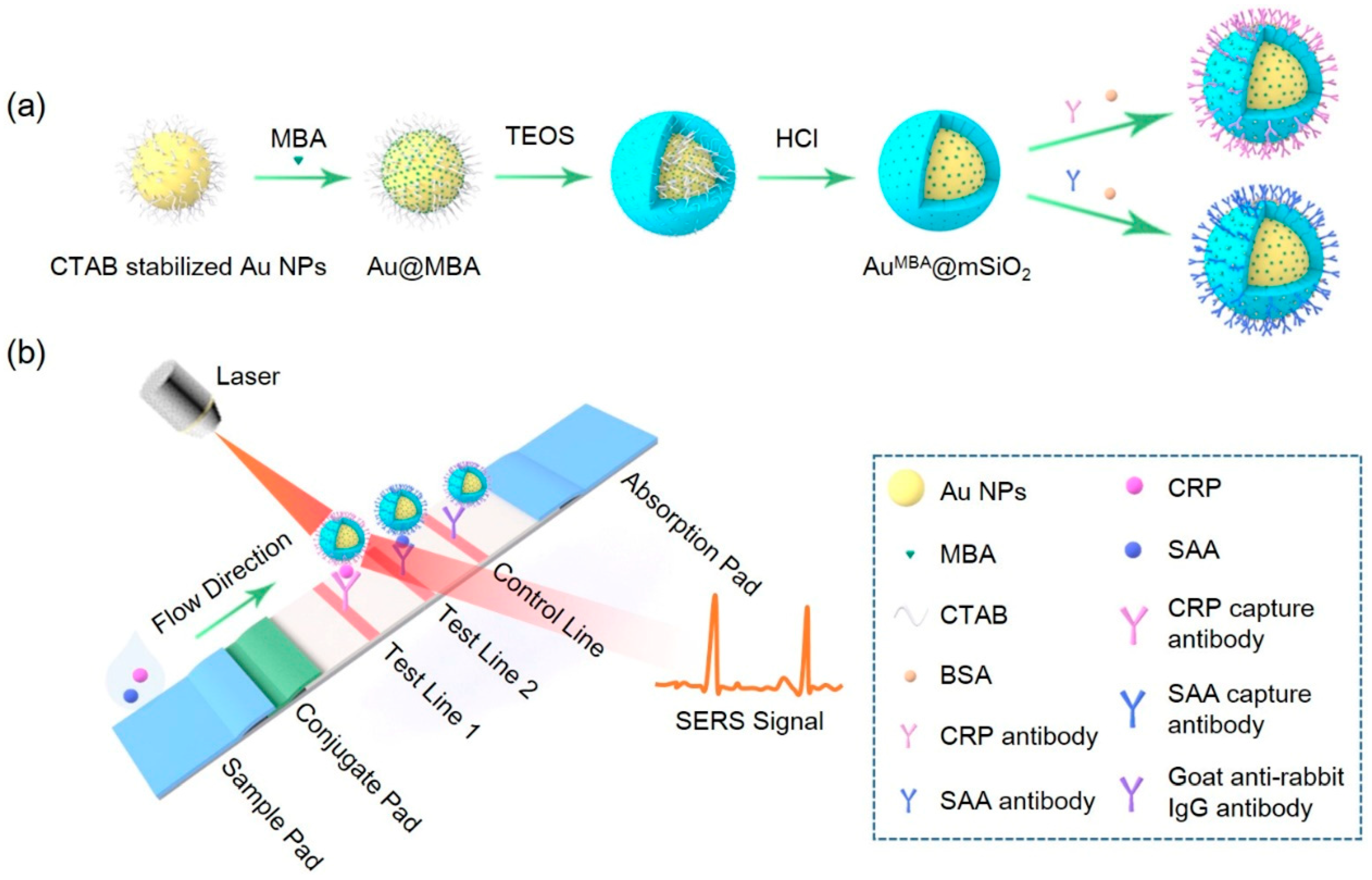 Nanomaterials 11 01496 g001