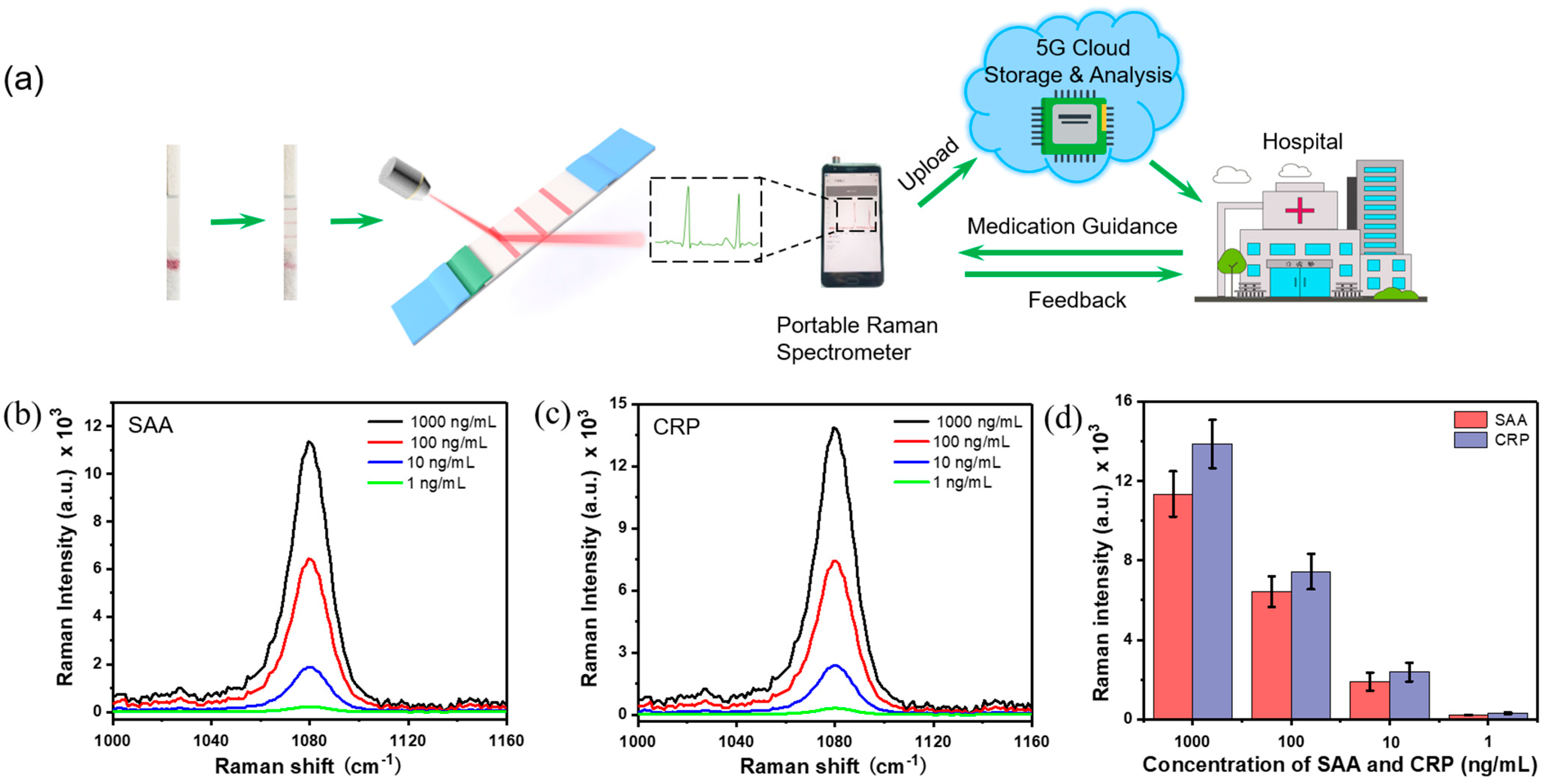 Nanomaterials 11 01496 g005