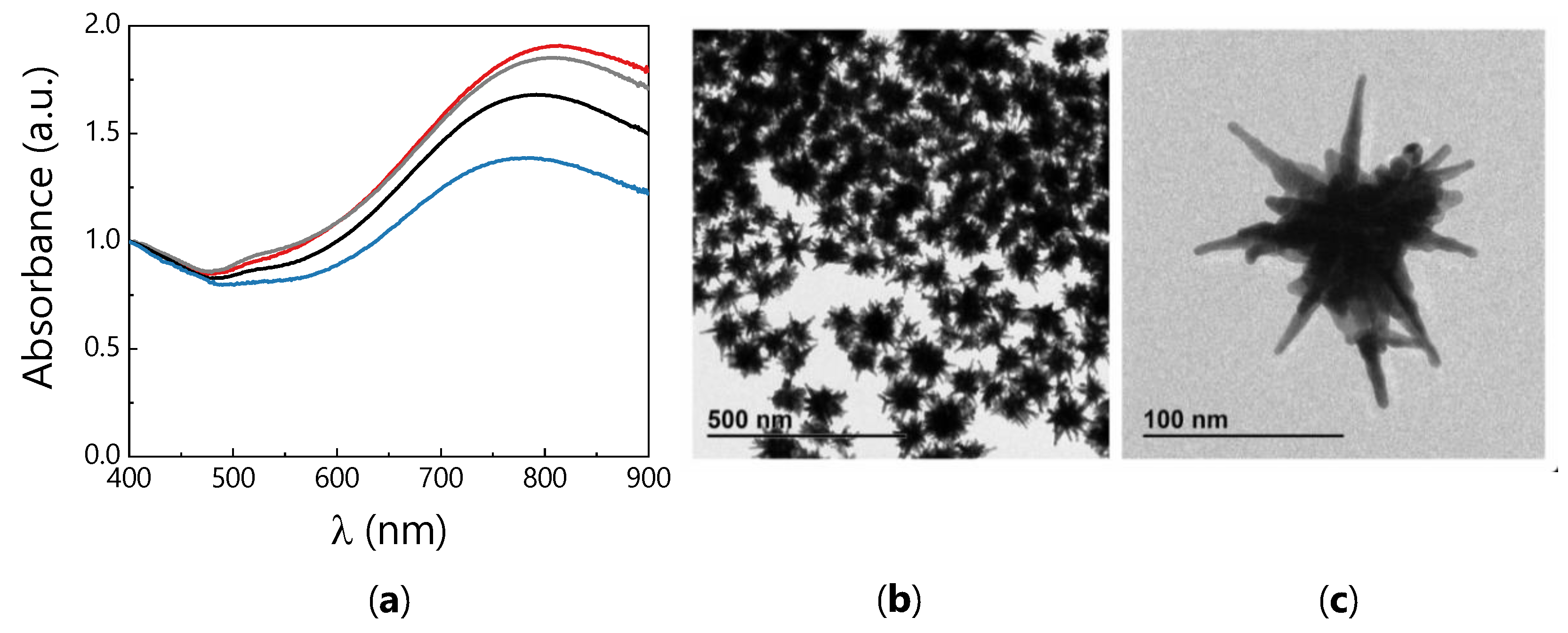 Nanomaterials 11 01498 g001