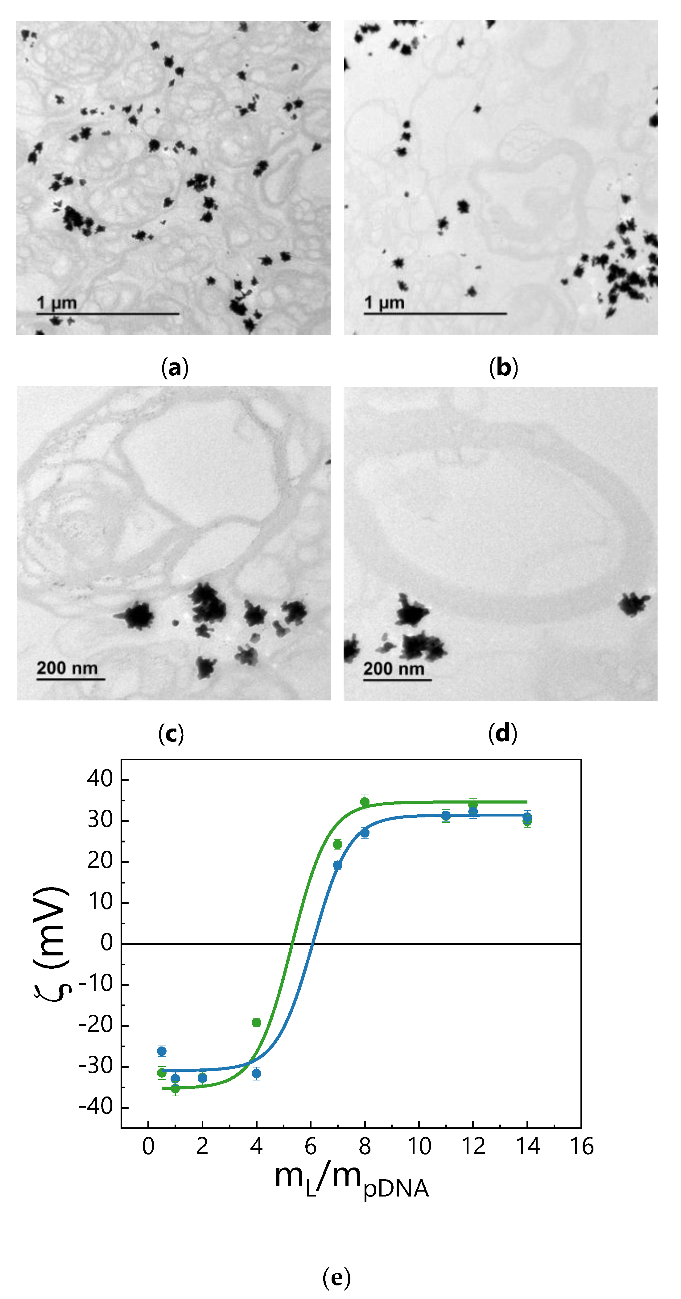 Nanomaterials 11 01498 g002