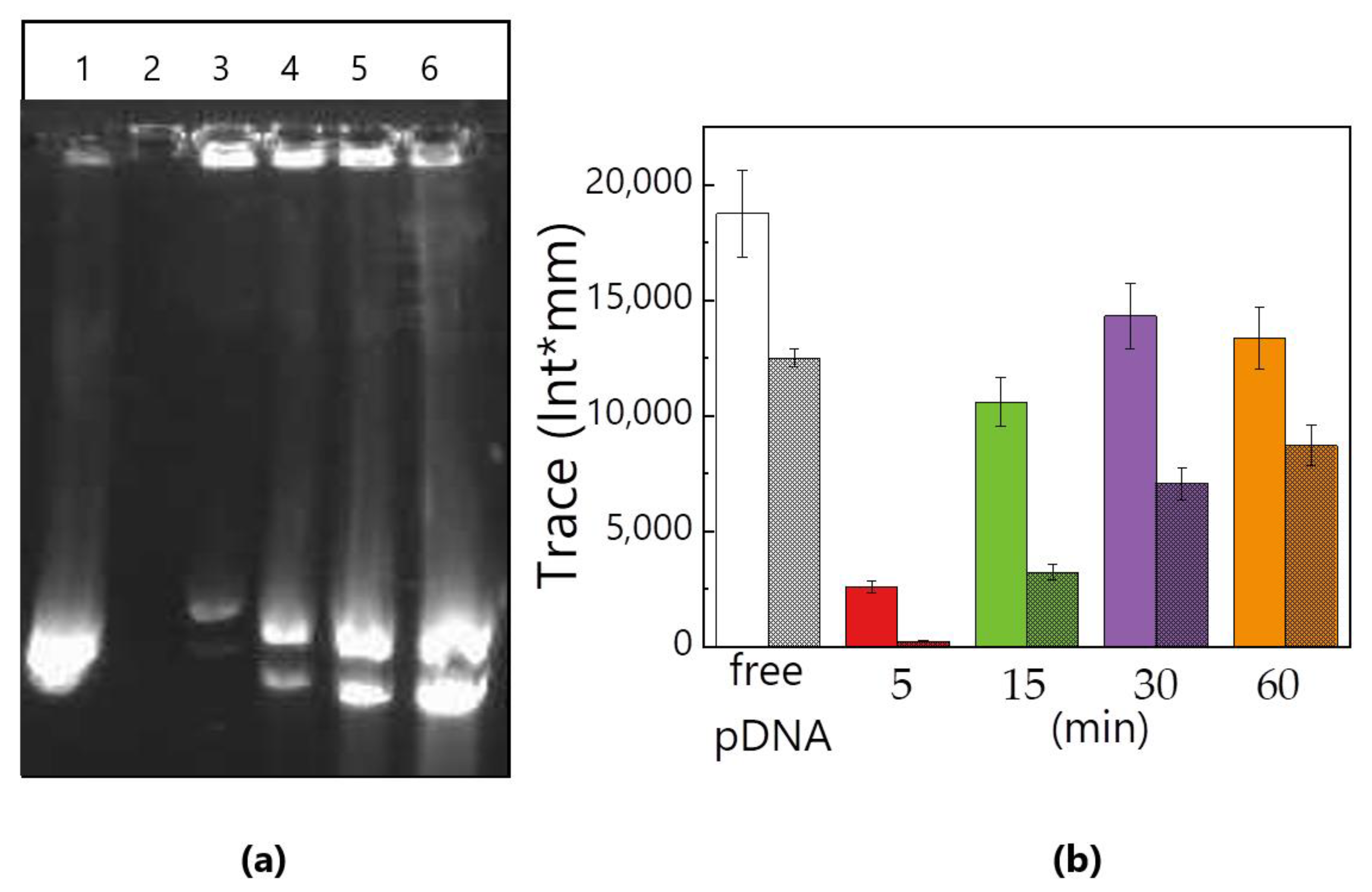 Nanomaterials 11 01498 g006