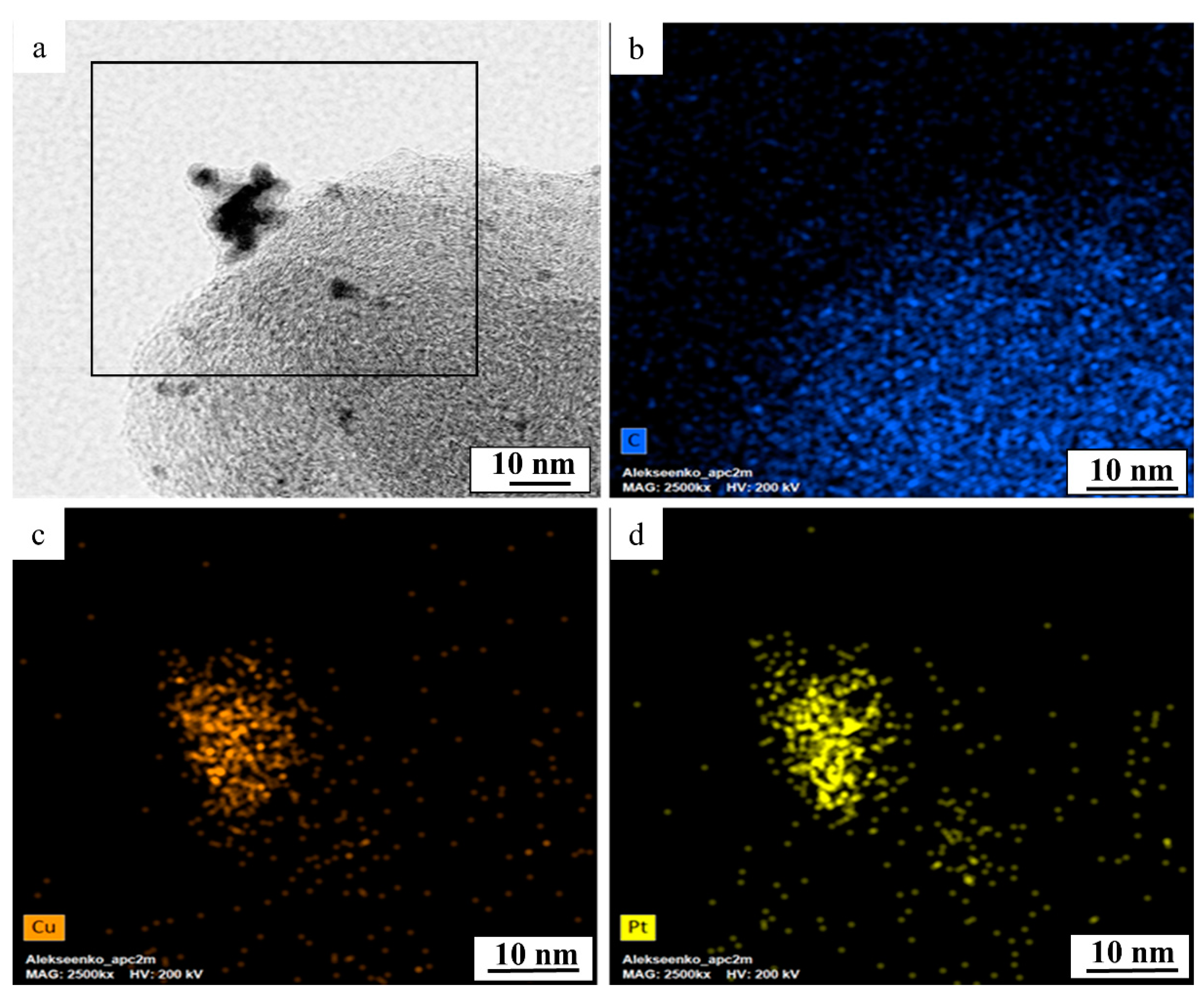Nanomaterials 11 01499 g003