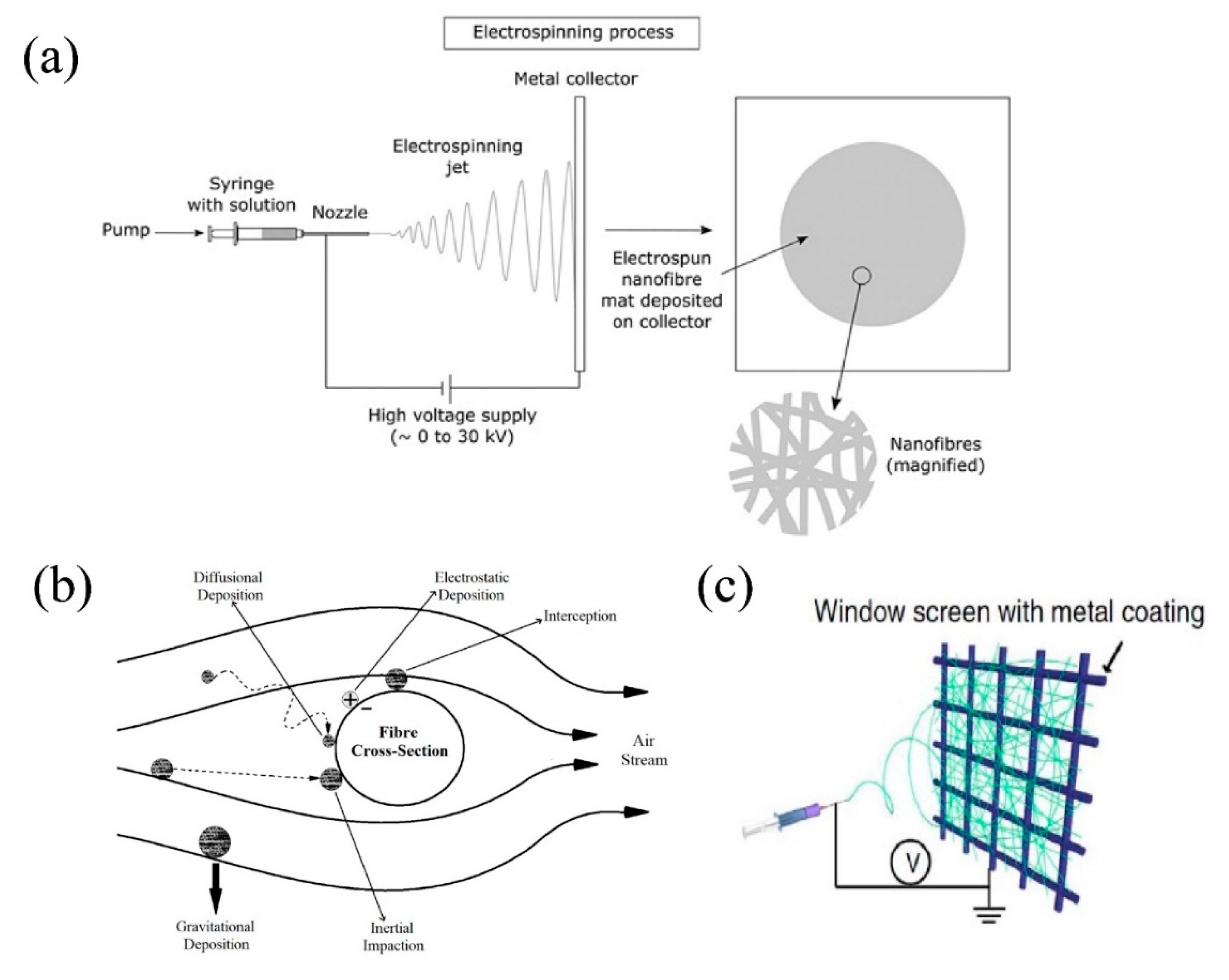 Nanomaterials 11 01501 g001