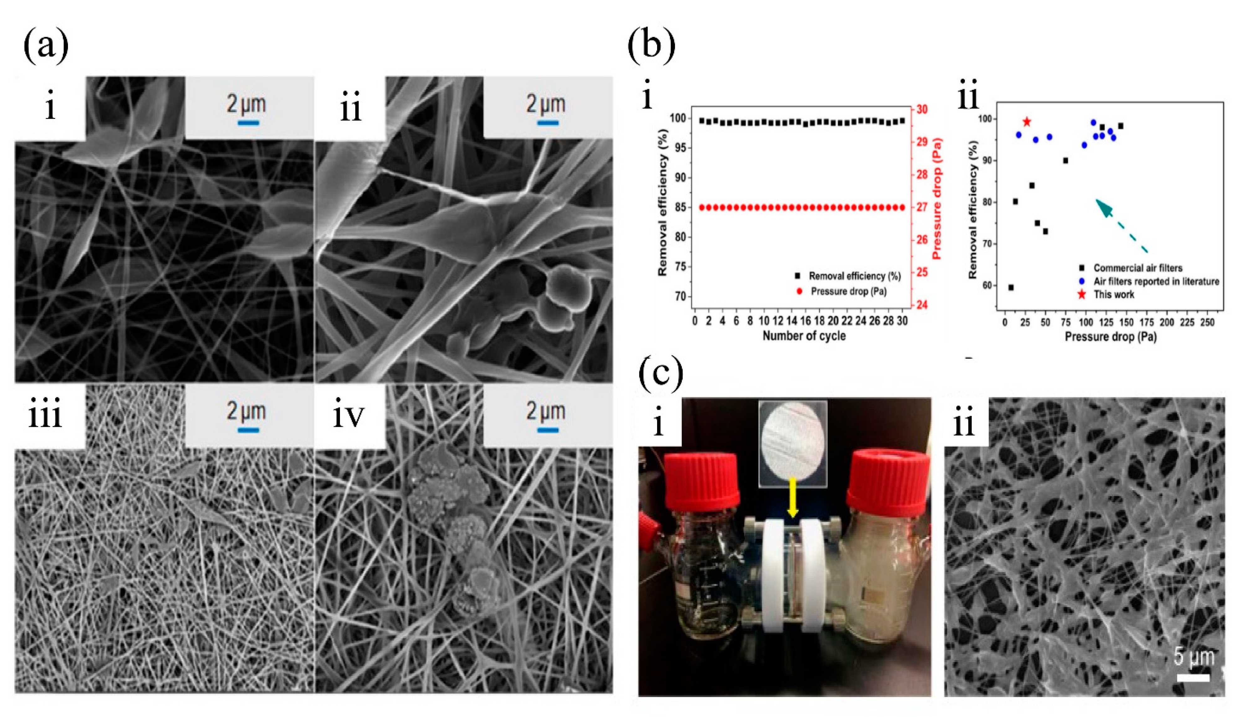 Nanomaterials 11 01501 g006