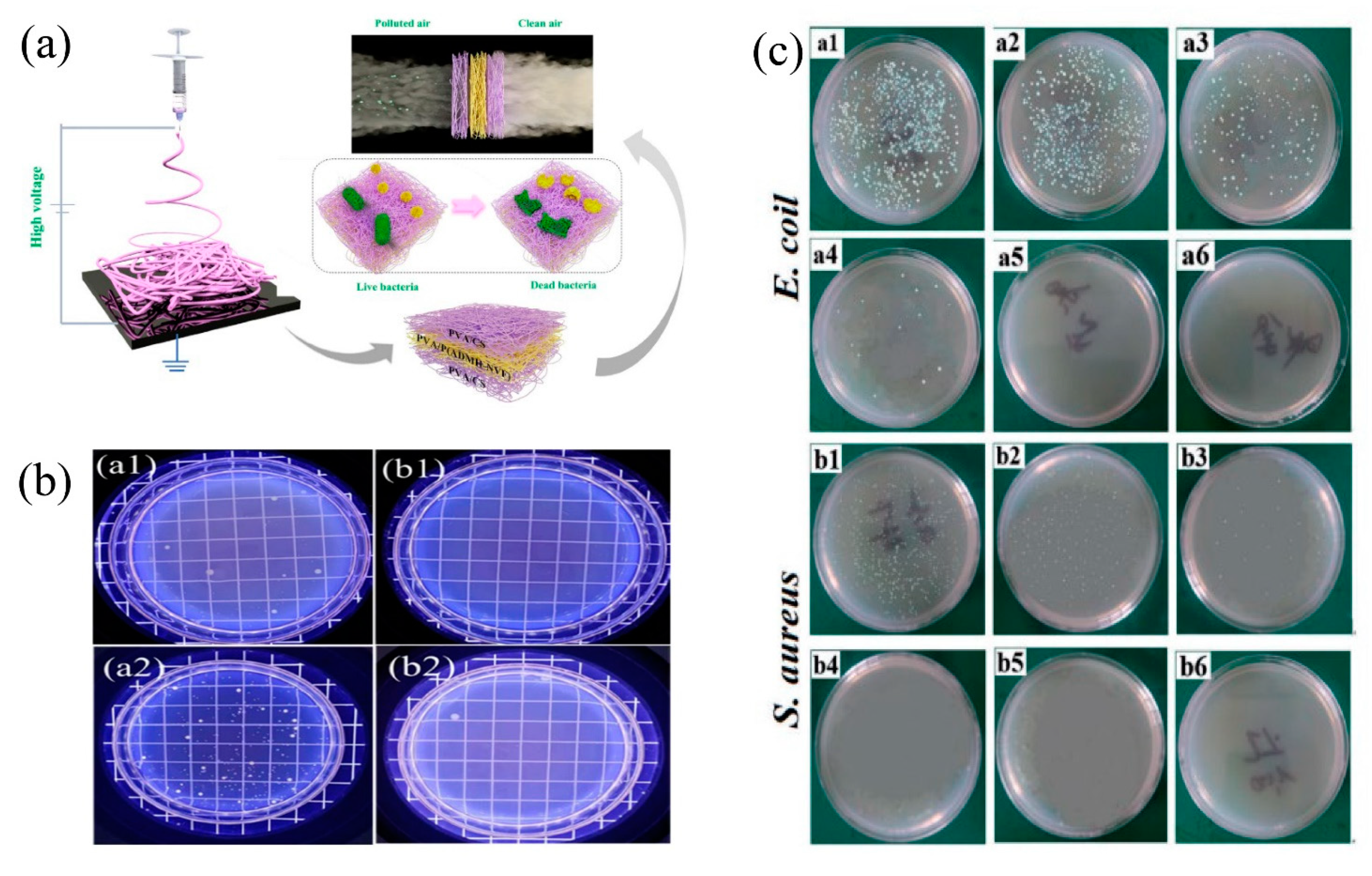 Nanomaterials 11 01501 g010