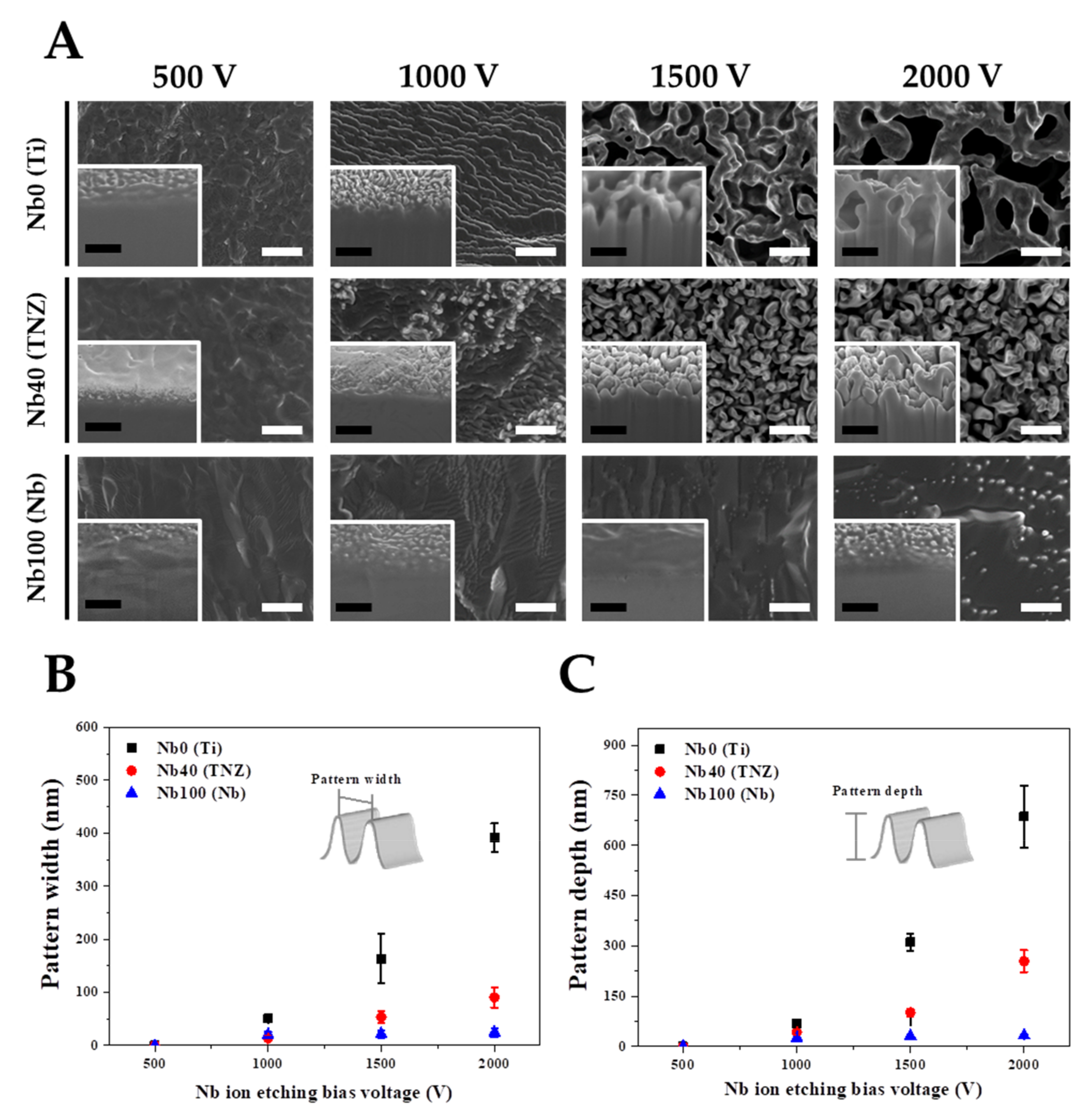 Nanomaterials 11 01507 g001