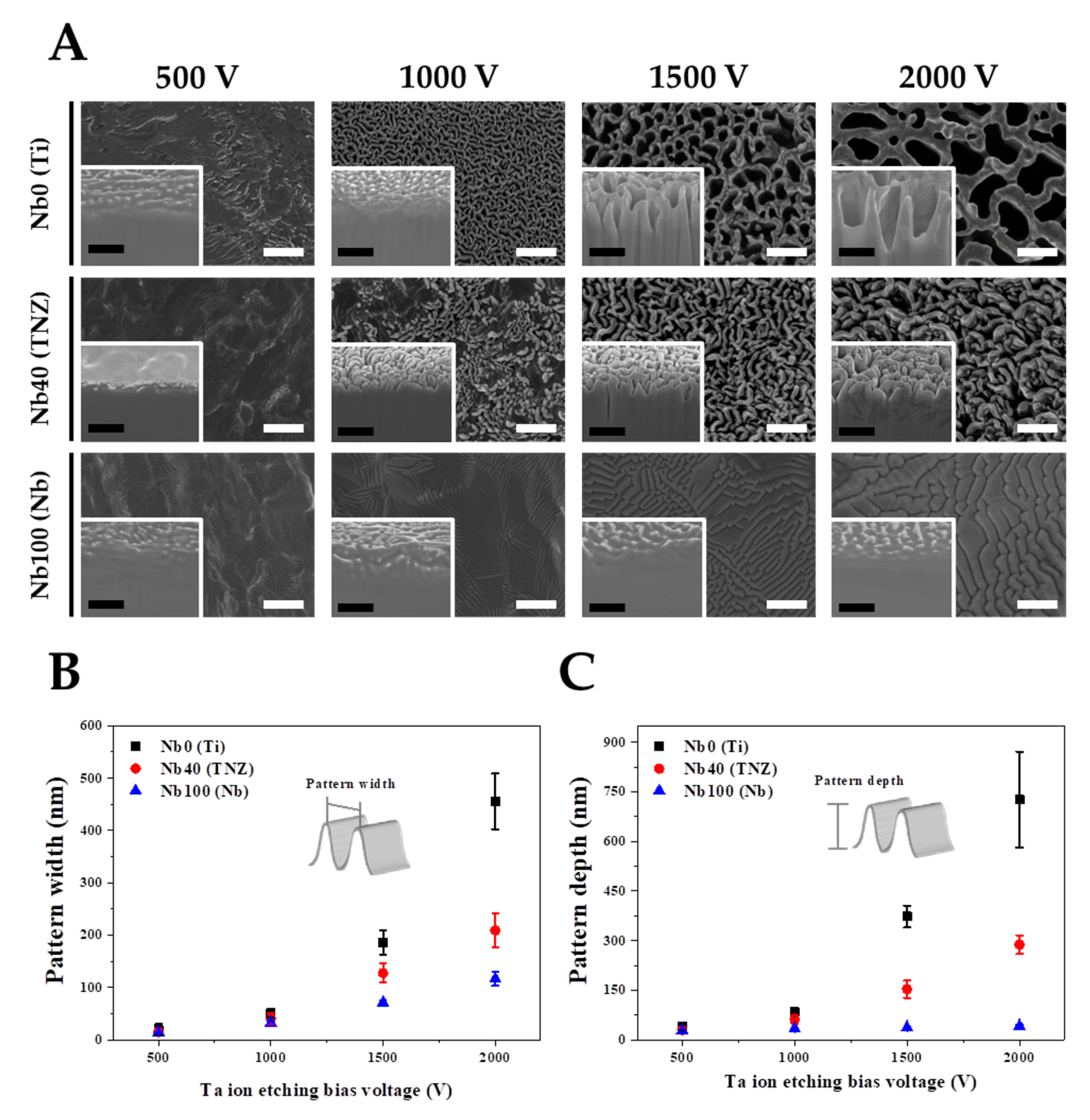 Nanomaterials 11 01507 g002