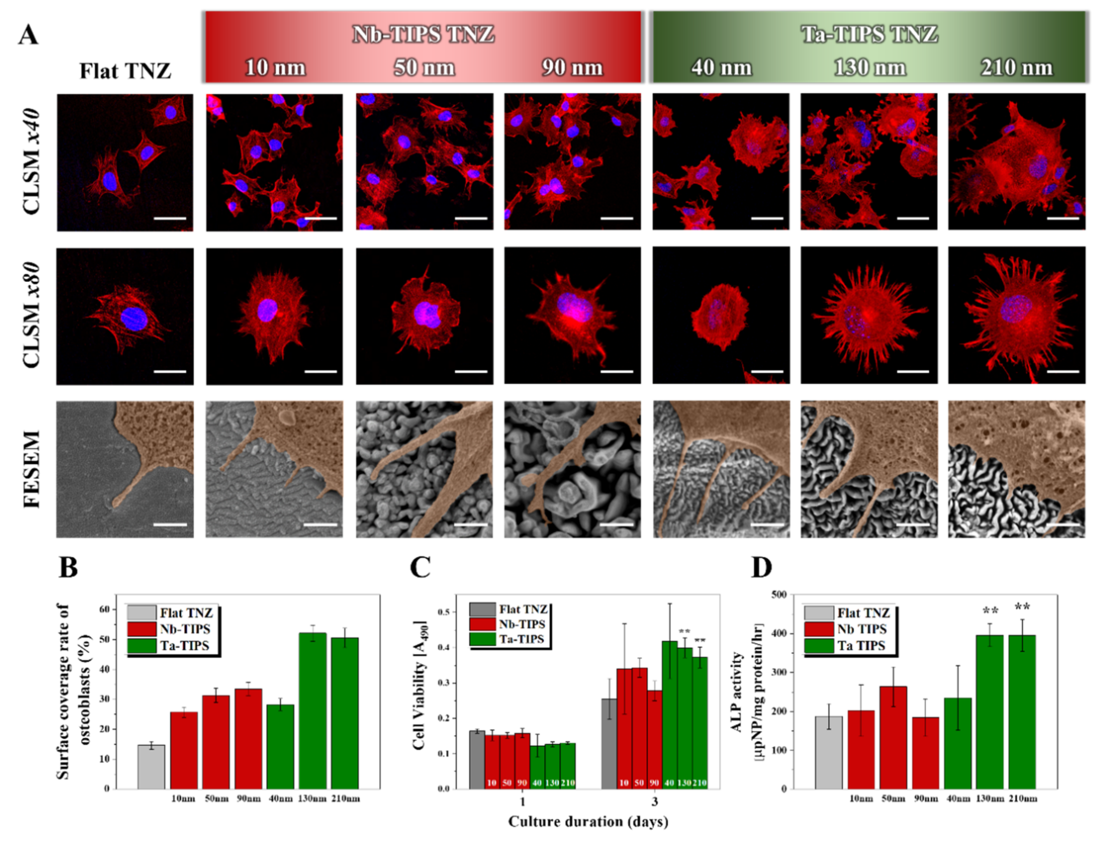 Nanomaterials 11 01507 g004