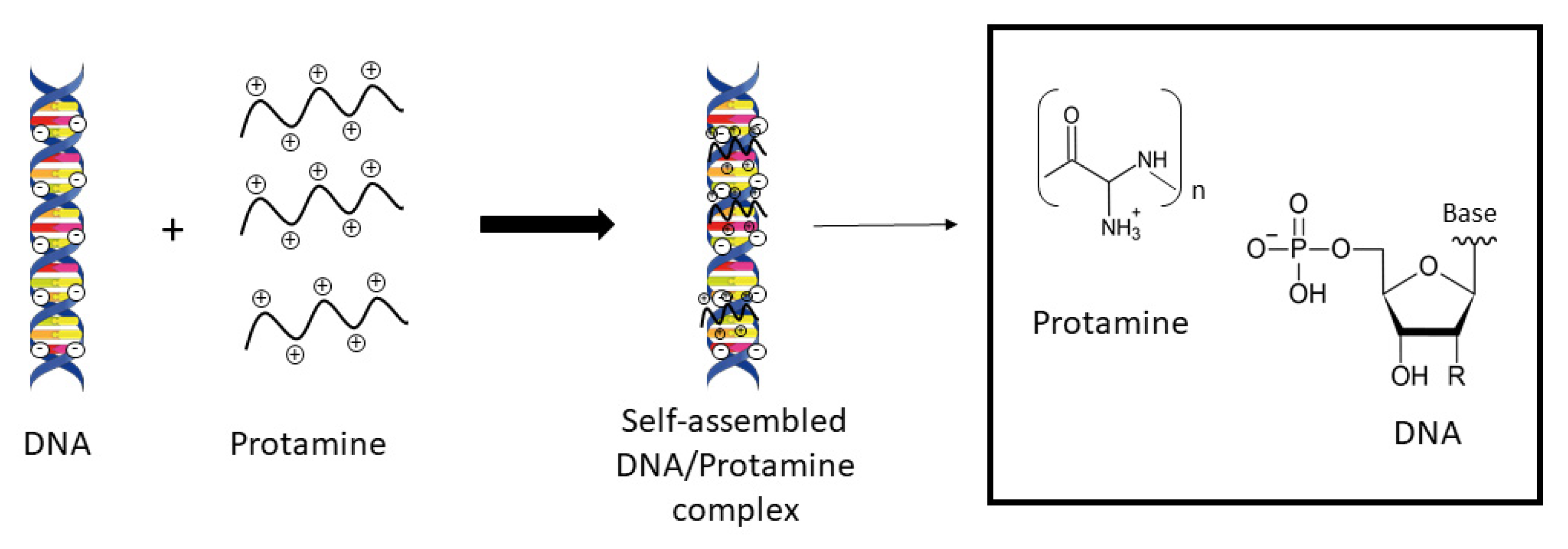 Nanomaterials 11 01508 g003