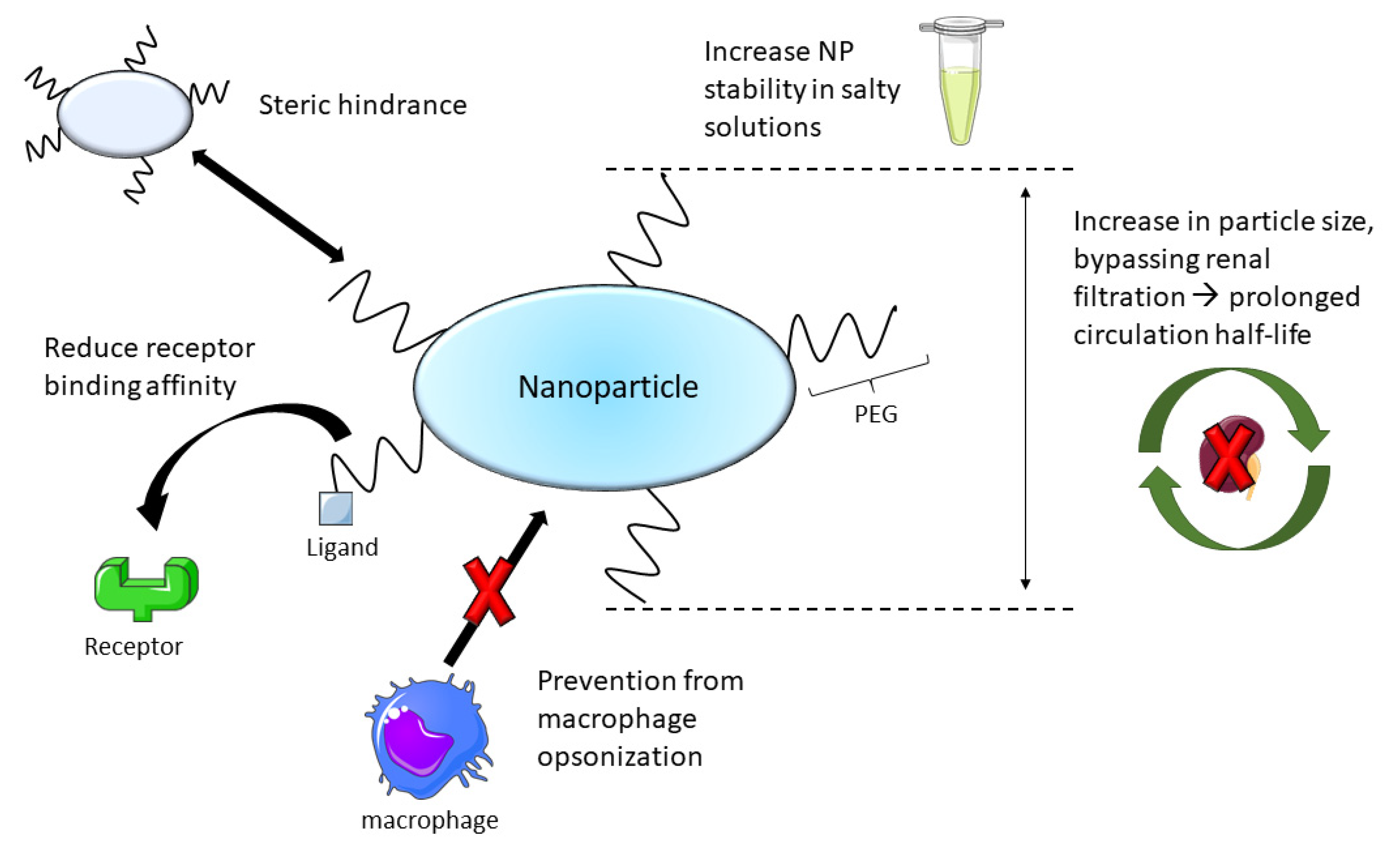 Nanomaterials 11 01508 g004