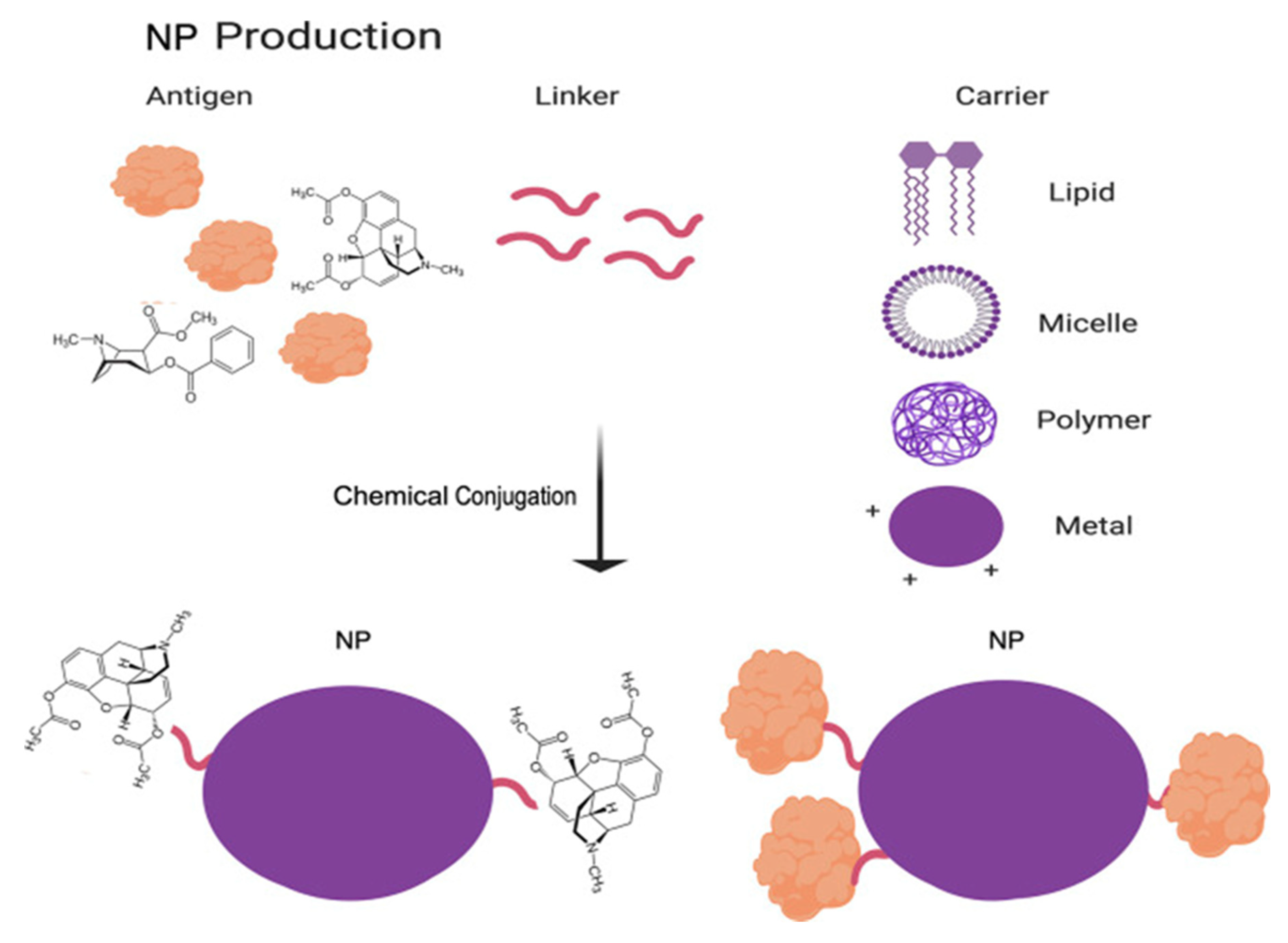Nanomaterials 11 01508 g006