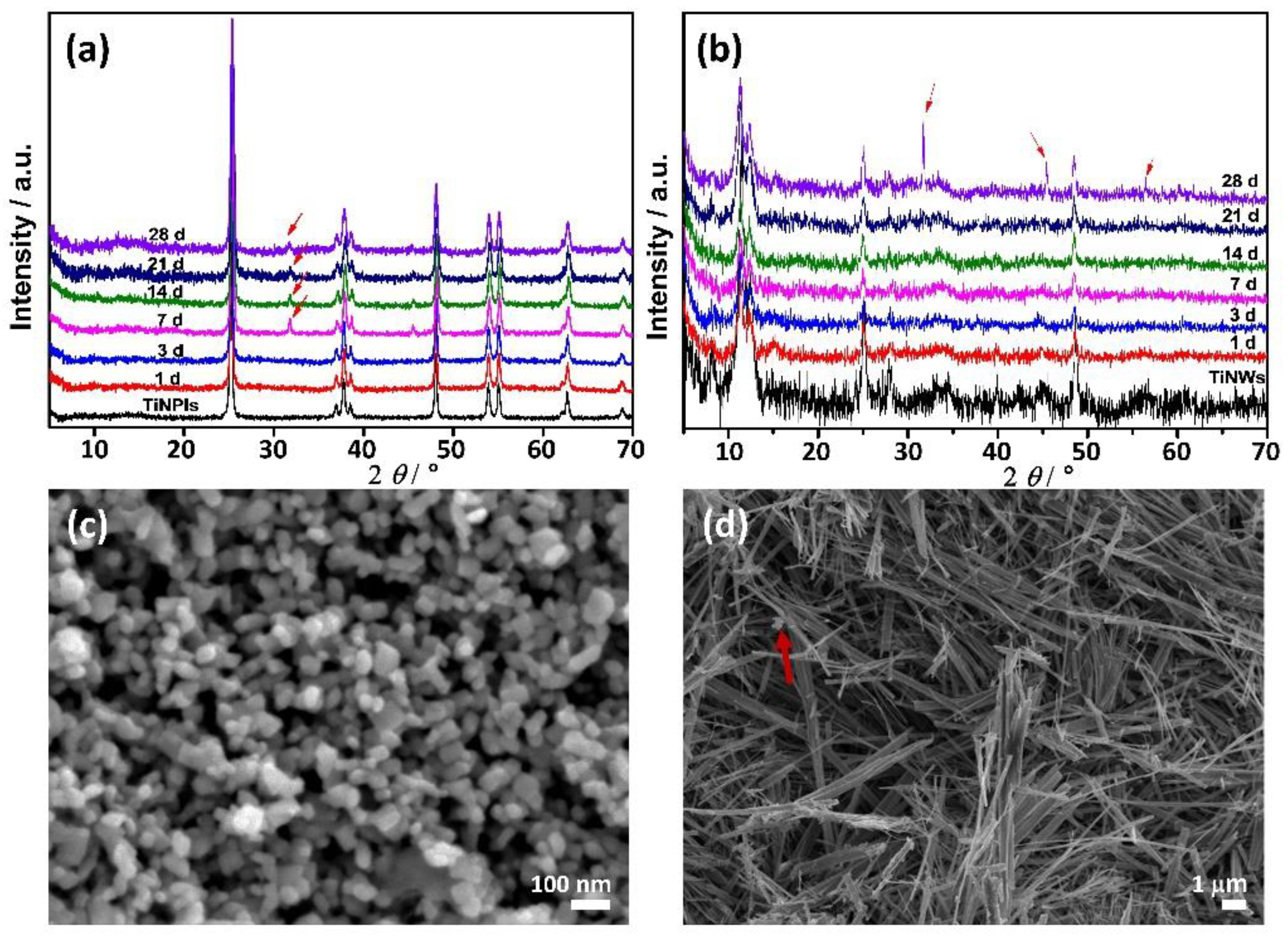 Nanomaterials 11 01523 g003