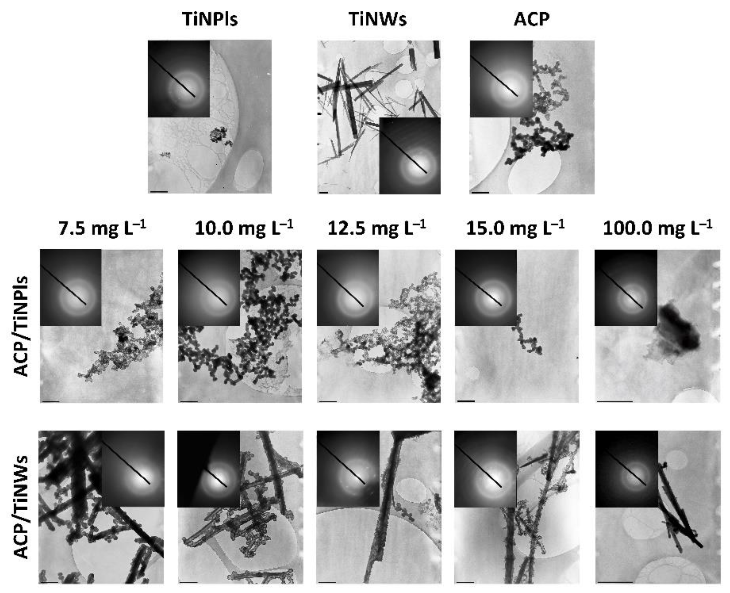 Nanomaterials 11 01523 g004