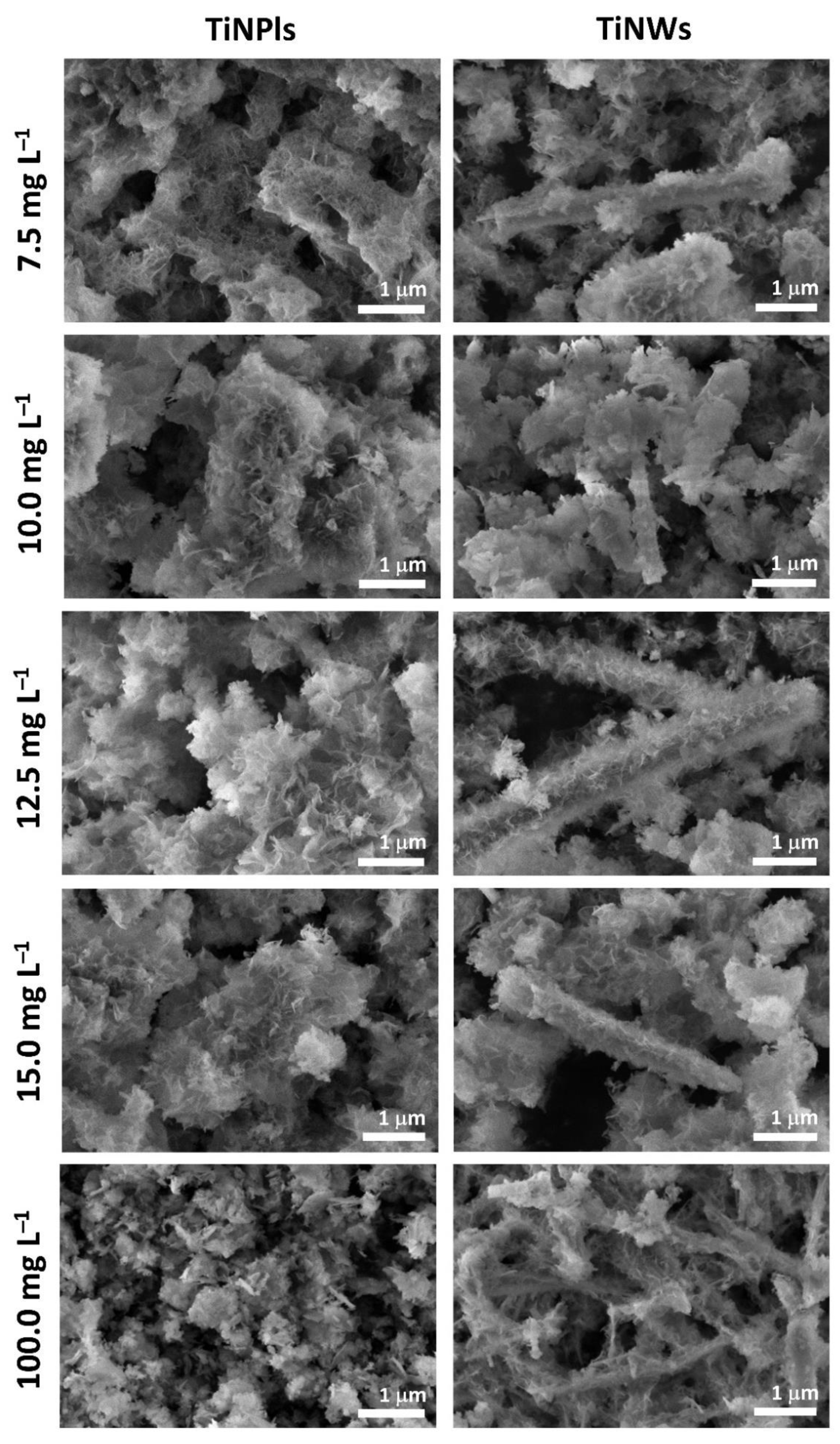 Nanomaterials 11 01523 g006