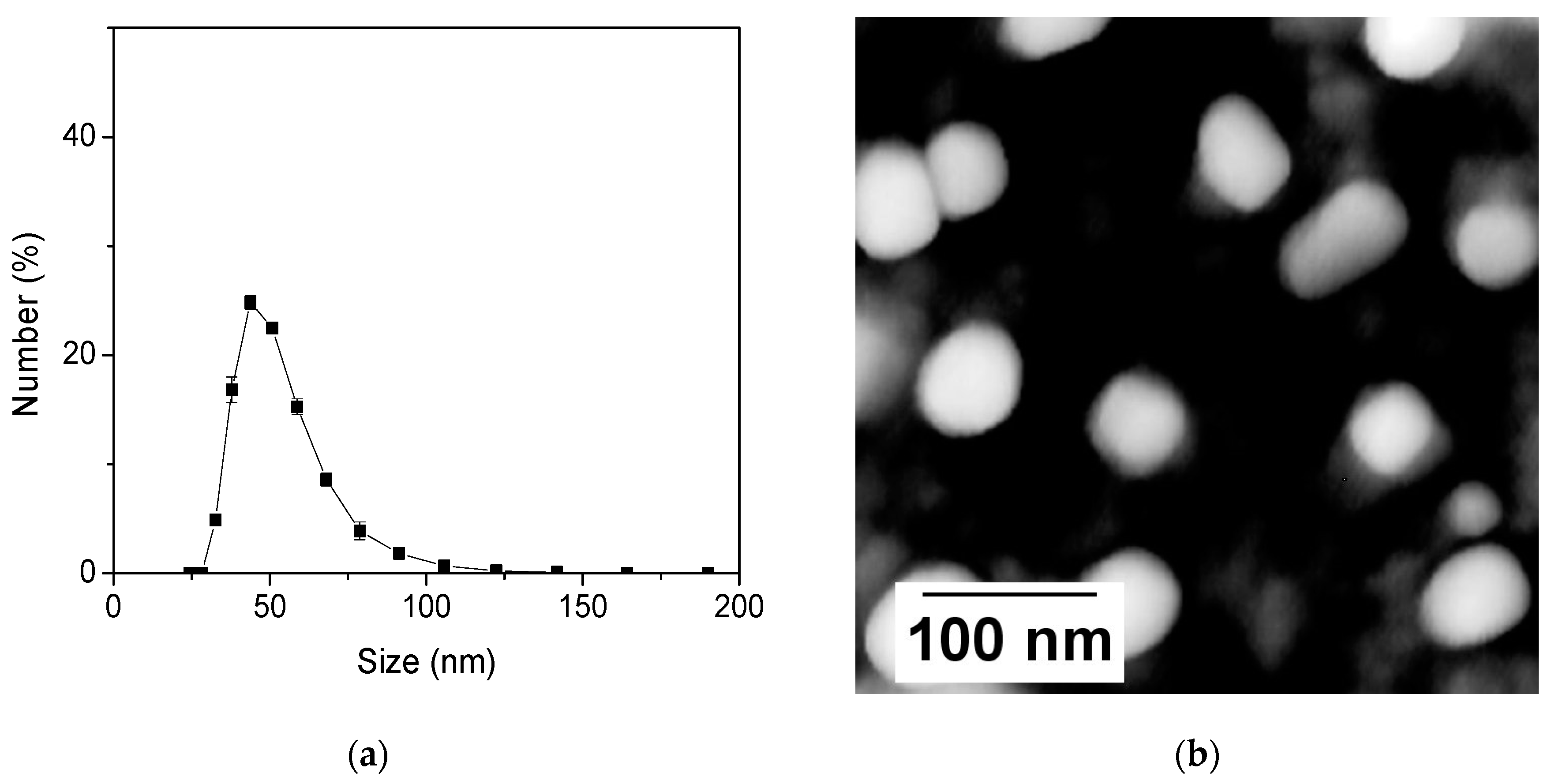 Nanomaterials 11 01524 g001