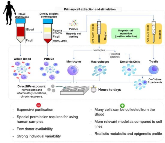 Nanomaterials 11 01528 g005