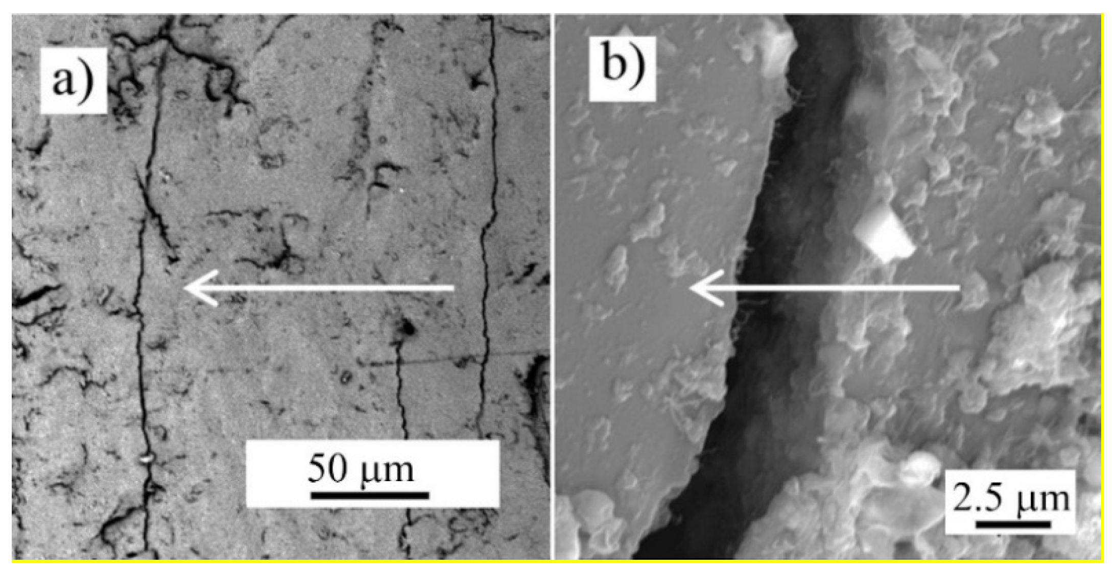 Nanomaterials 11 01529 g005