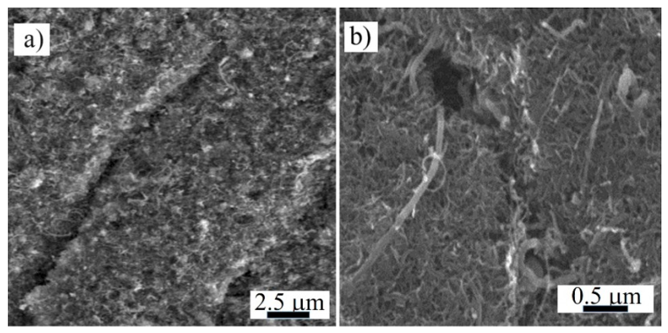 Nanomaterials 11 01529 g006