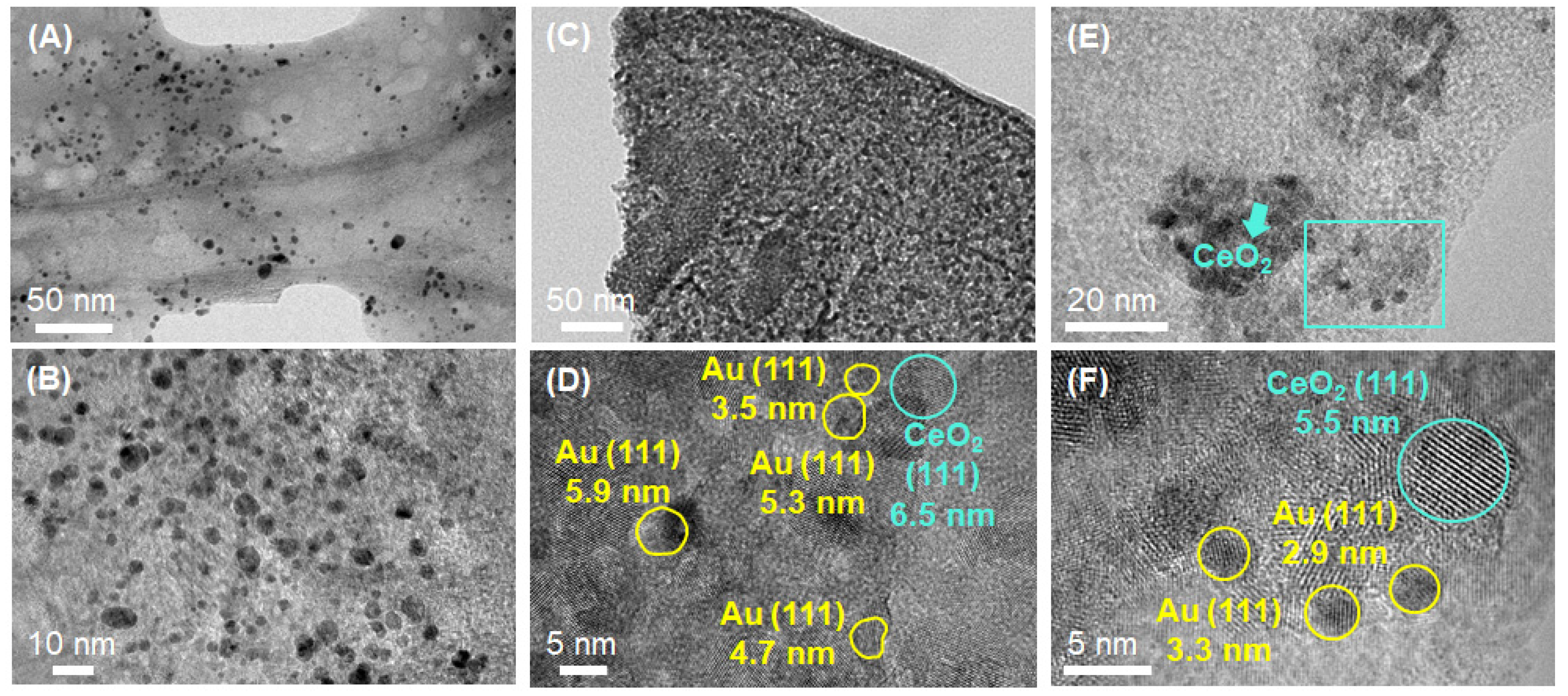 Nanomaterials 11 01536 g002