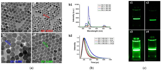 Nanomaterials 11 01541 g001