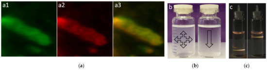 Nanomaterials 11 01541 g002
