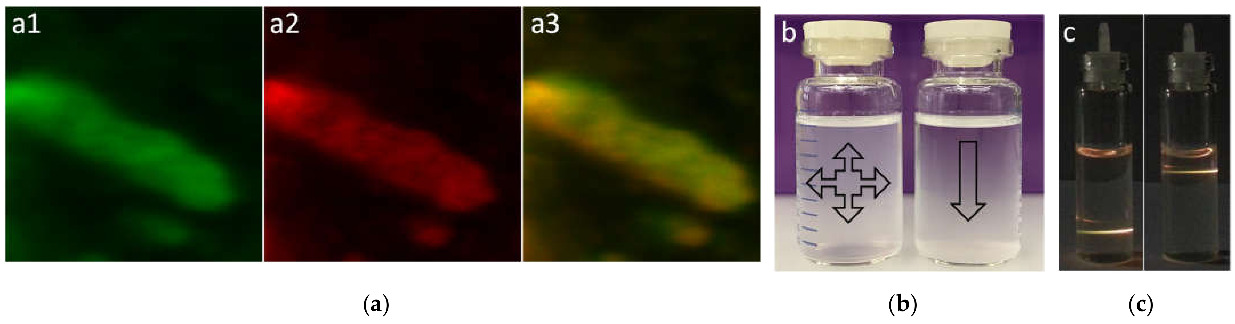 Nanomaterials 11 01541 g002