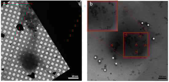 Nanomaterials 11 01541 g004
