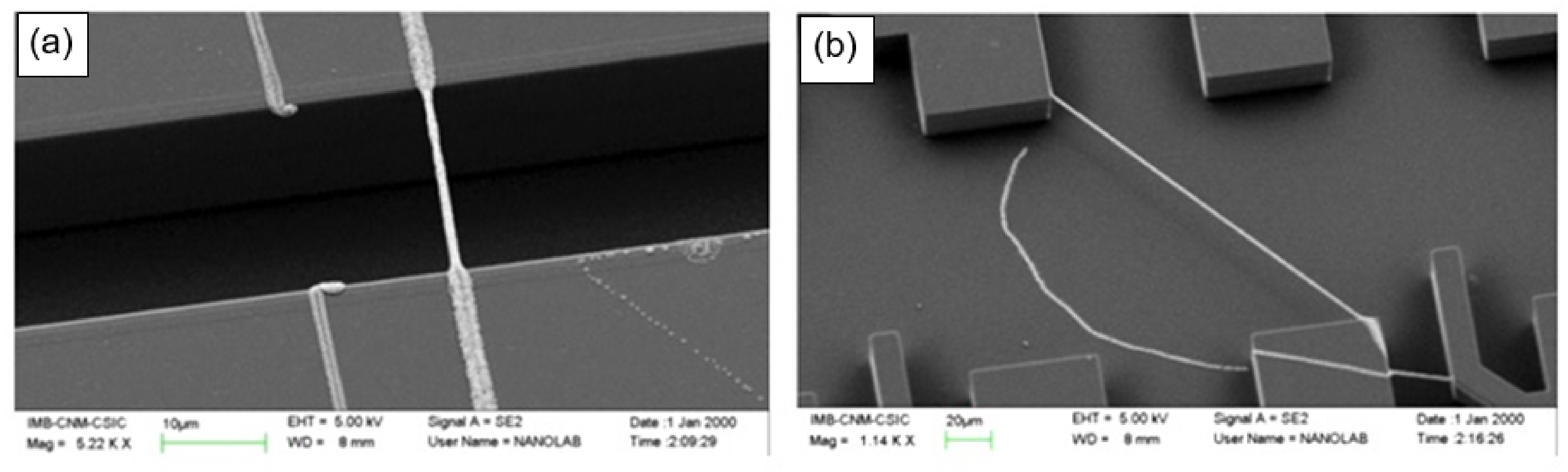 Nanomaterials 11 01555 g003