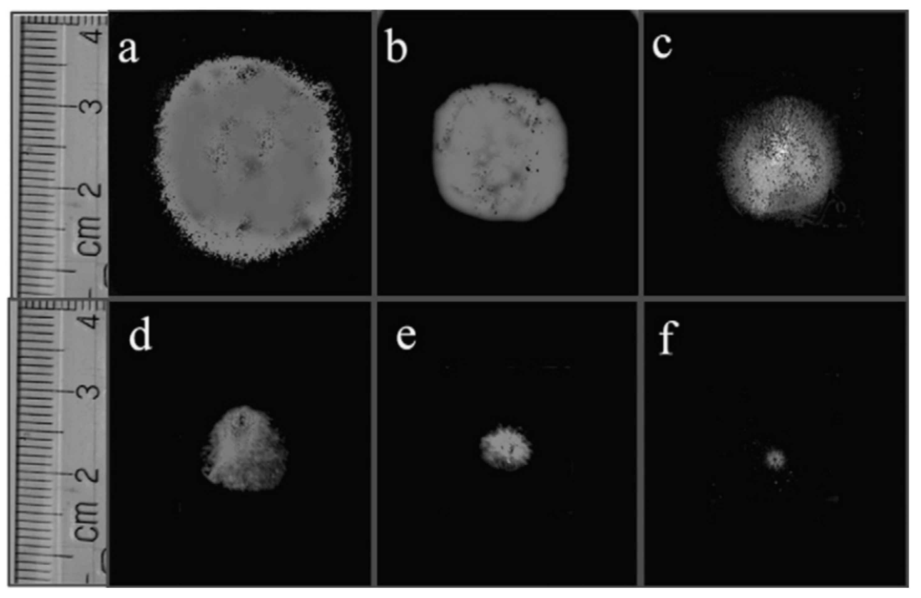 Nanomaterials 11 01555 g032