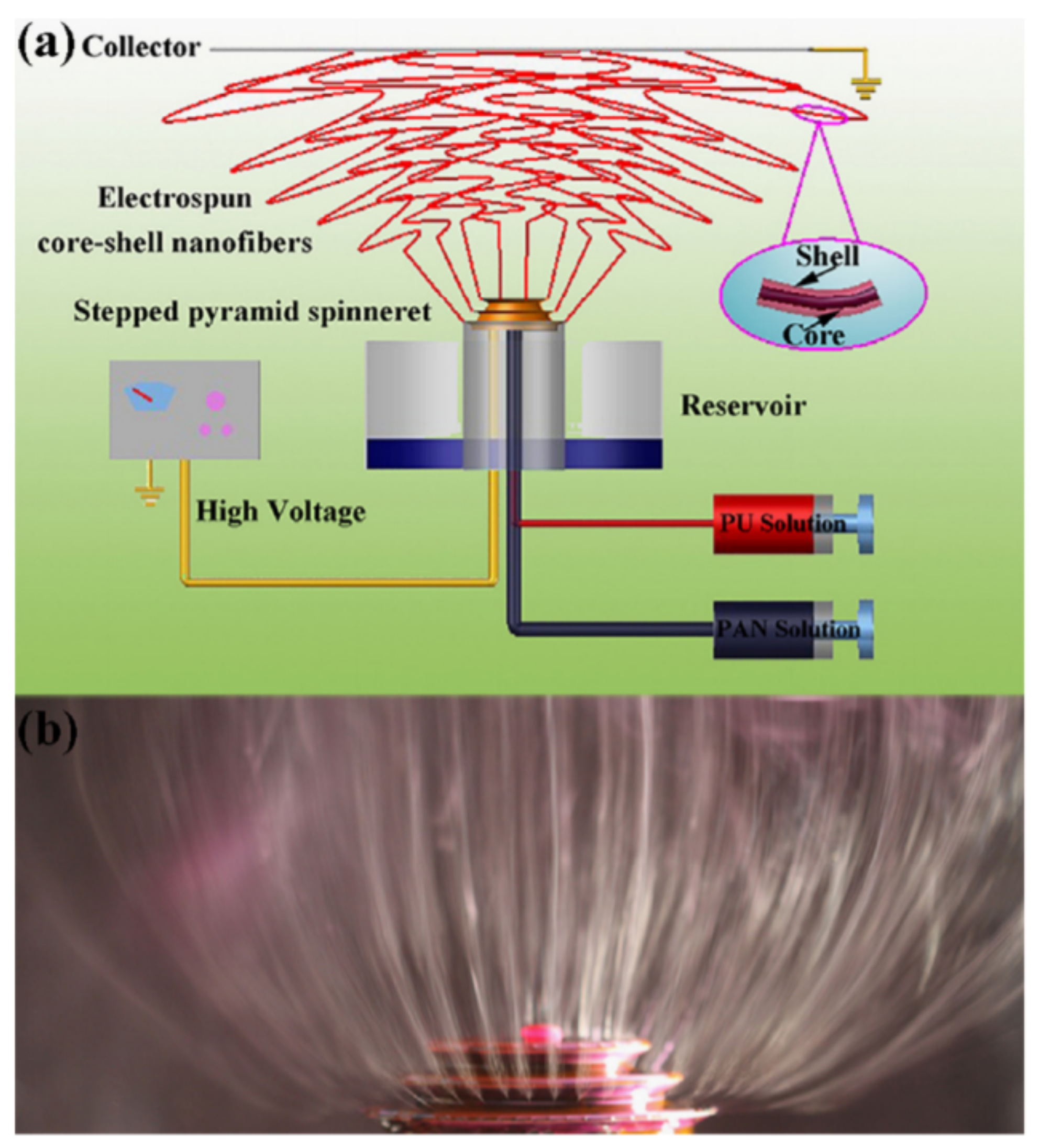 Nanomaterials 11 01555 g034