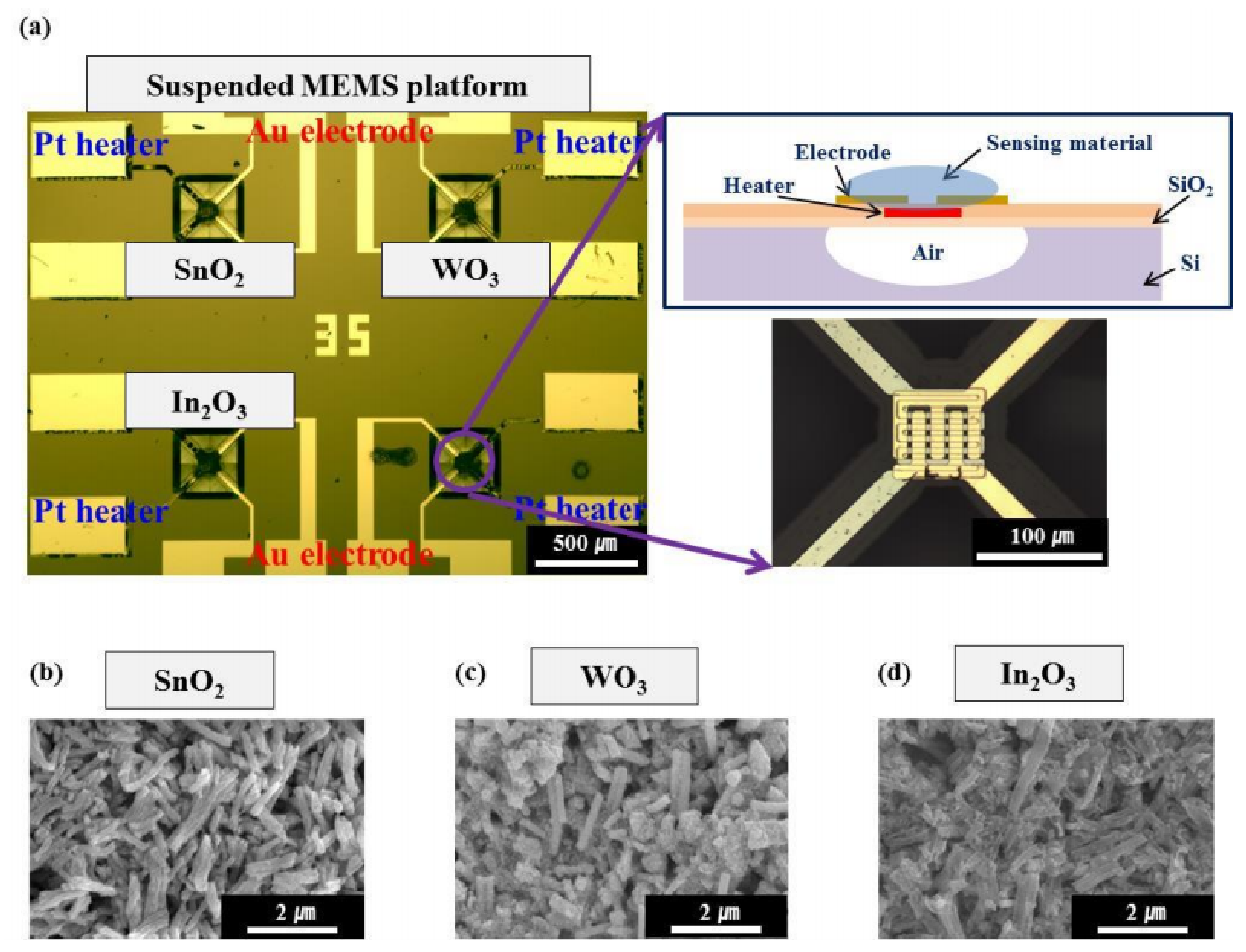 Nanomaterials 11 01555 g036