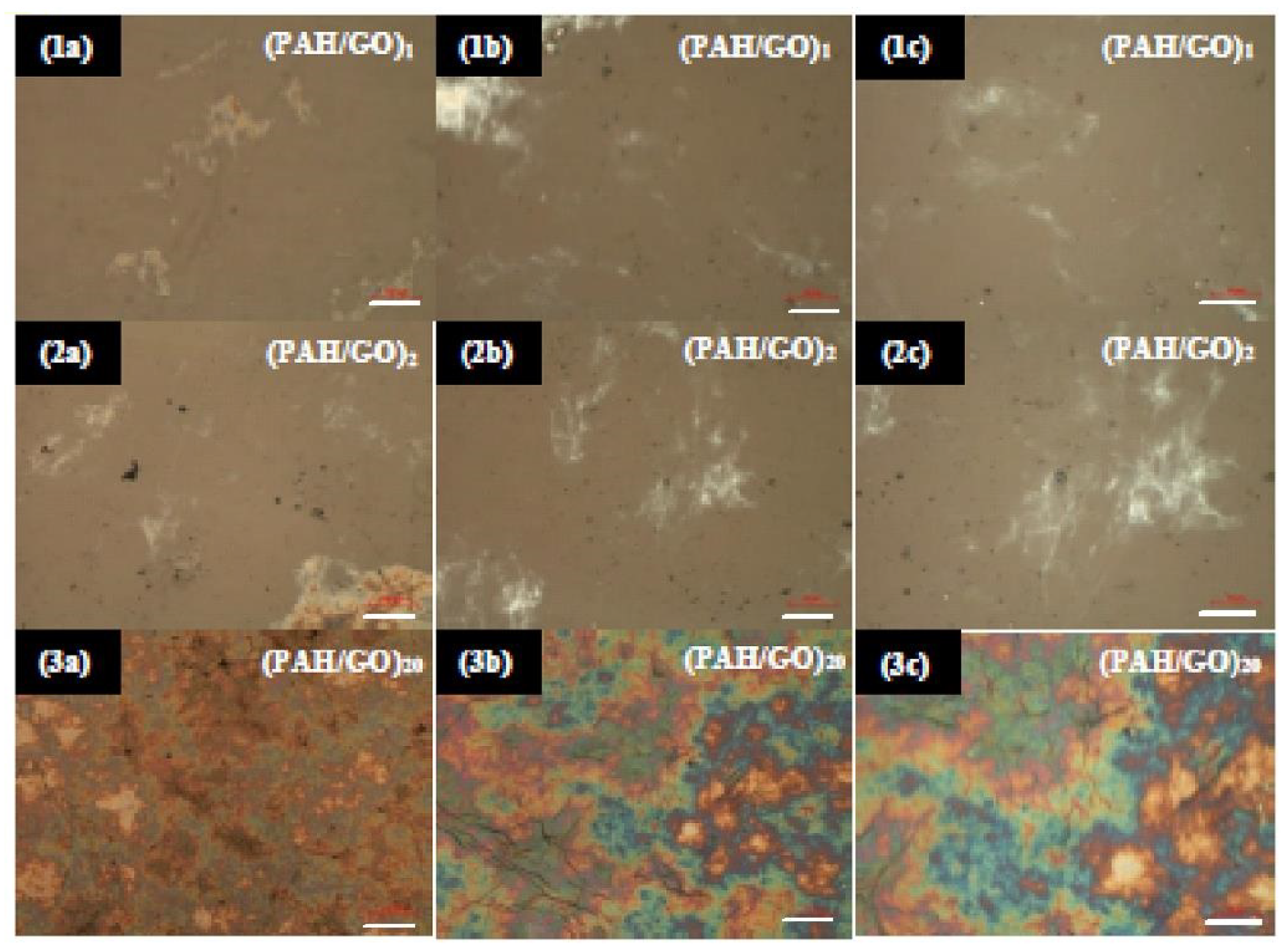 Nanomaterials 11 01556 g003