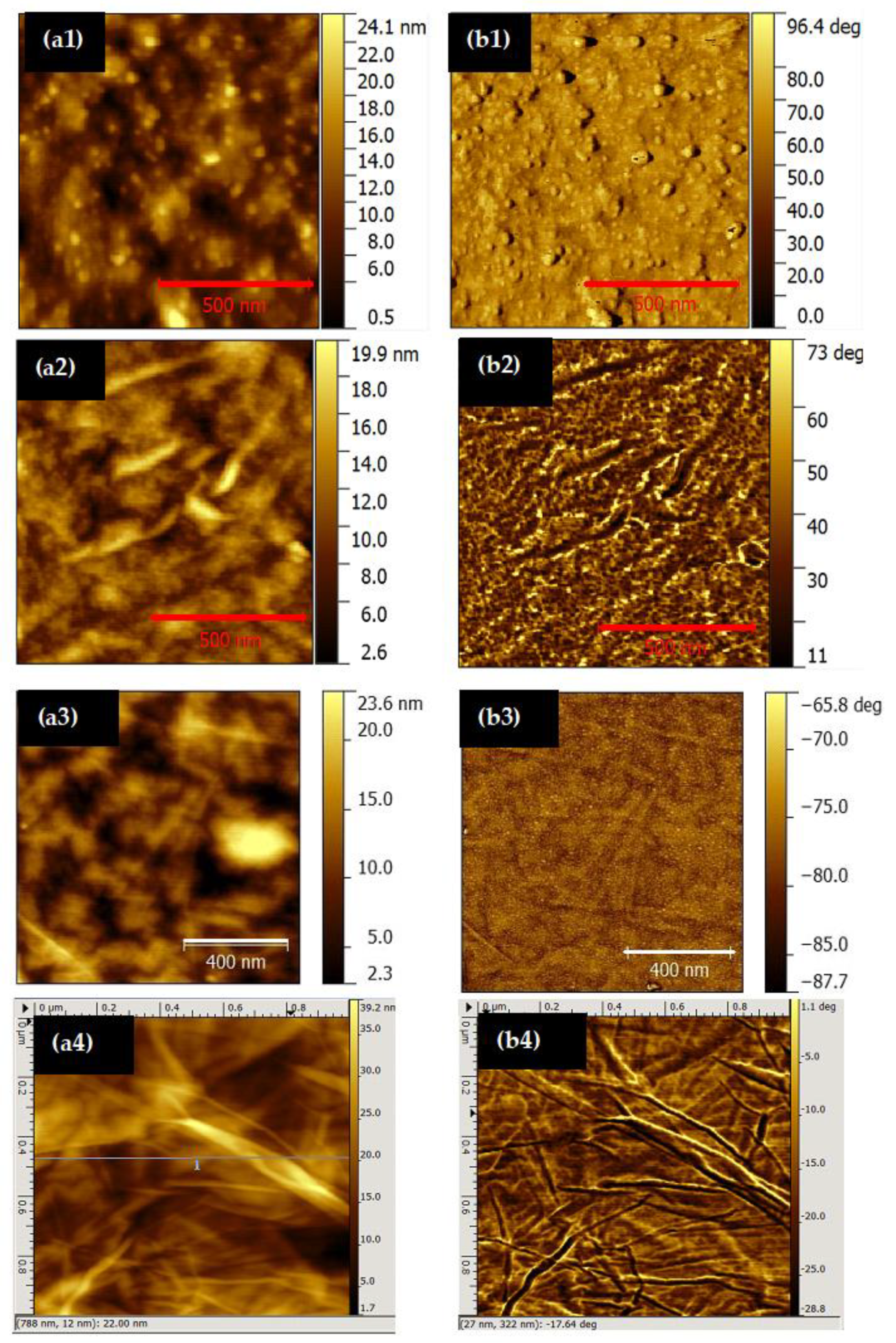 Nanomaterials 11 01556 g004