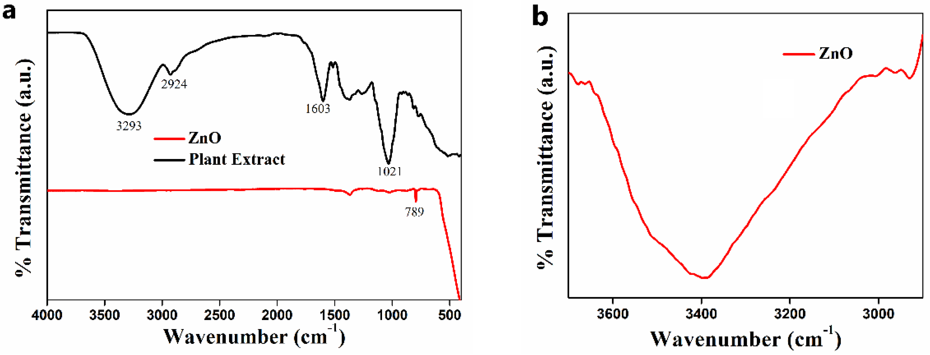 Nanomaterials 11 01558 g002