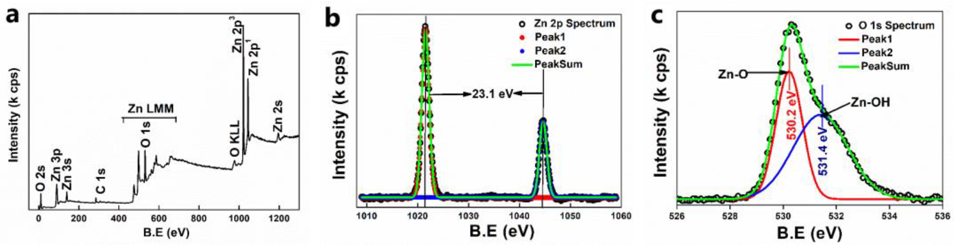 Nanomaterials 11 01558 g007